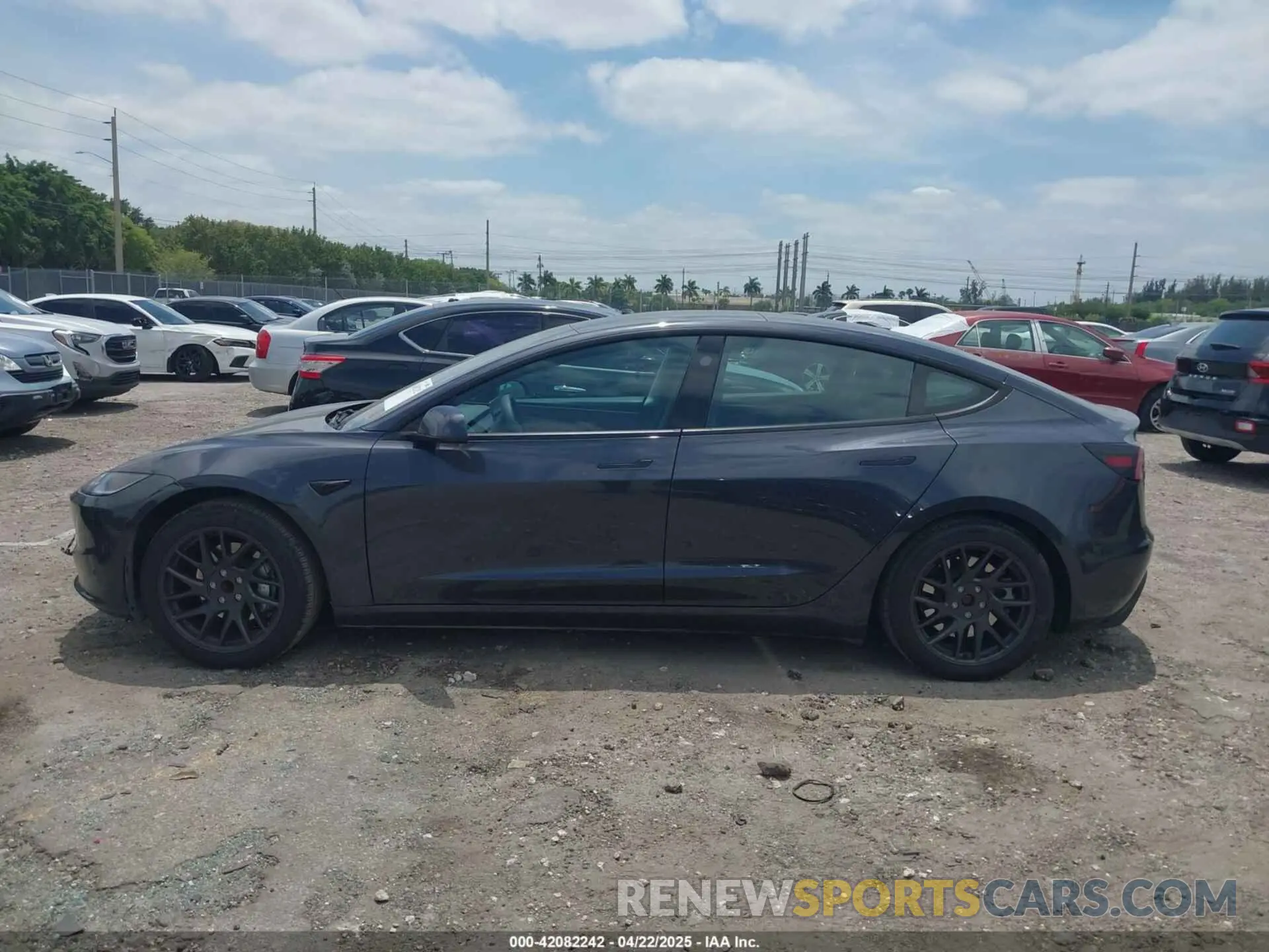 14 fotografías del automóvil dañado 5YJ3E1EAXRF754866 TESLA MODEL 3 2024