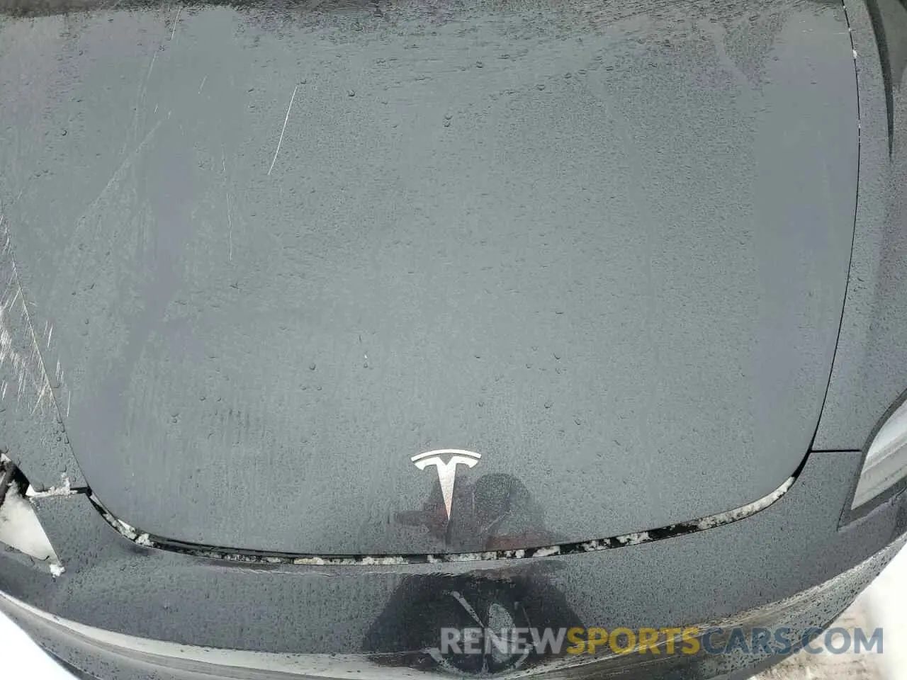 11 fotografías del automóvil dañado 5YJ3E1EB0RF744484 TESLA MODEL 3 2024