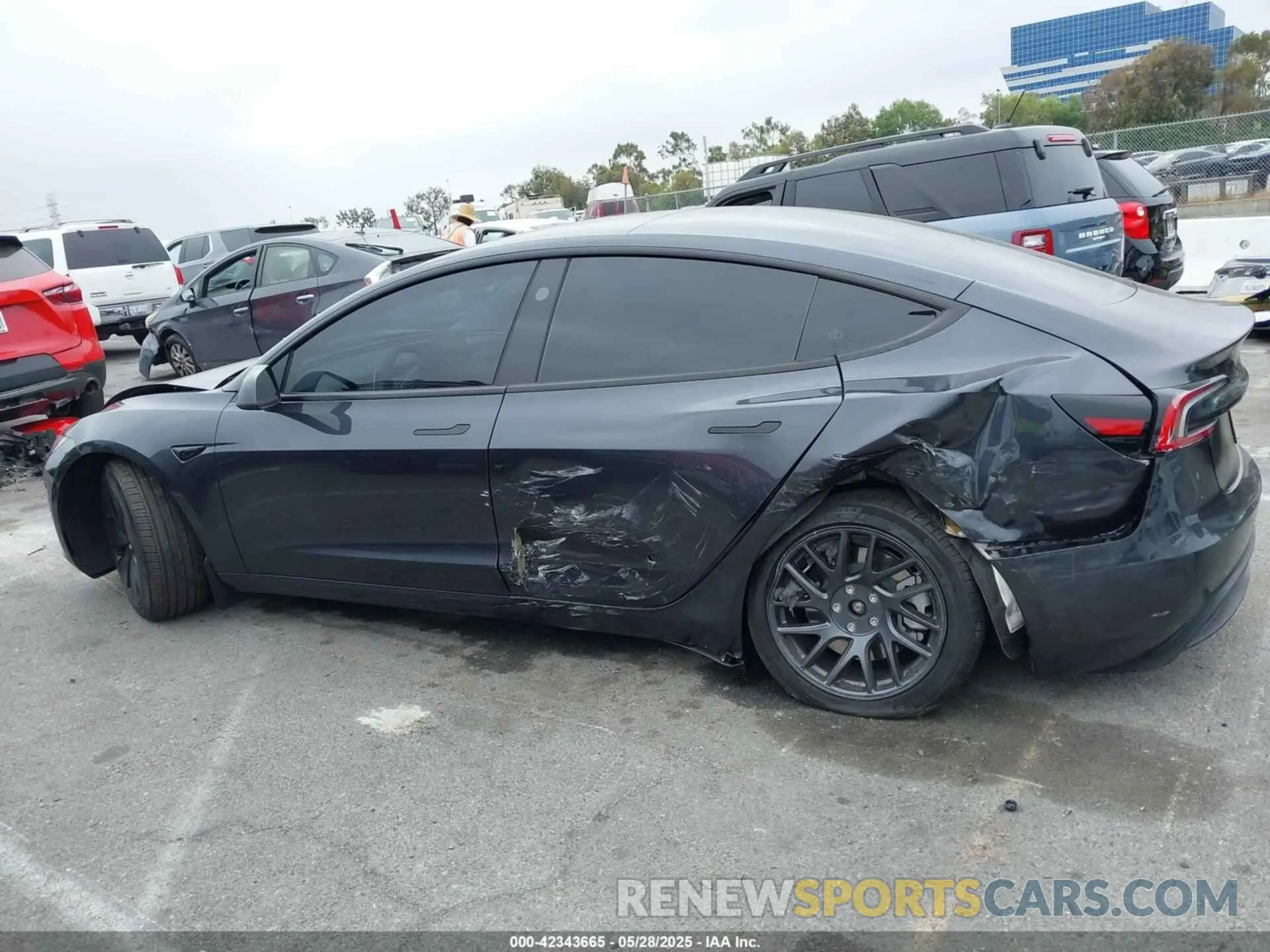 14 fotografías del automóvil dañado 5YJ3E1EB0RF766257 TESLA MODEL 3 2024