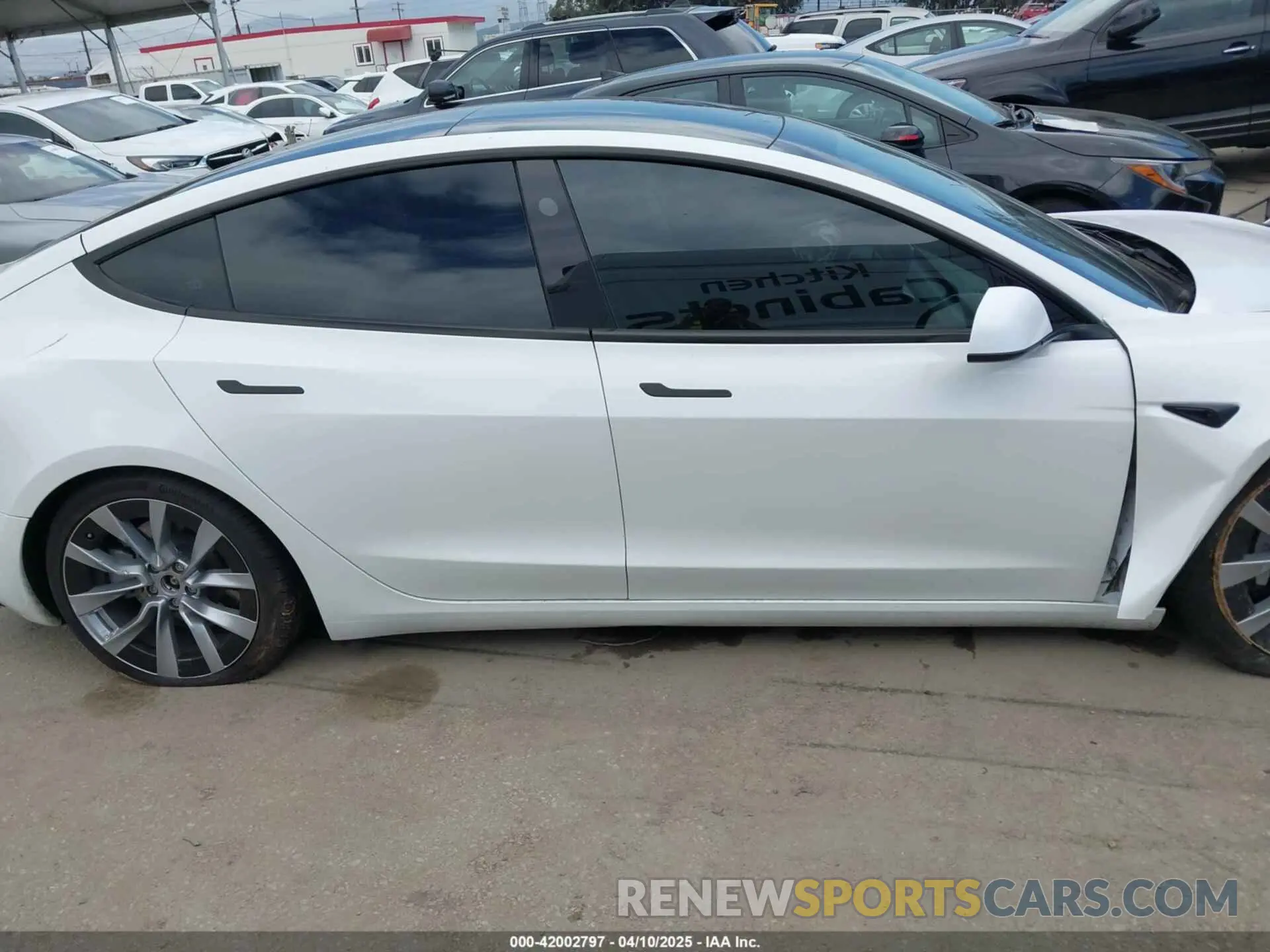 13 fotografías del automóvil dañado 5YJ3E1EB0RF795452 TESLA MODEL 3 2024