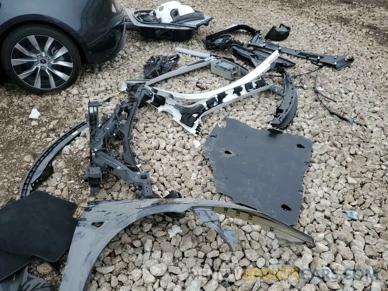 12 fotografías del automóvil dañado 5YJ3E1EB0RF817479 TESLA MODEL 3 2024