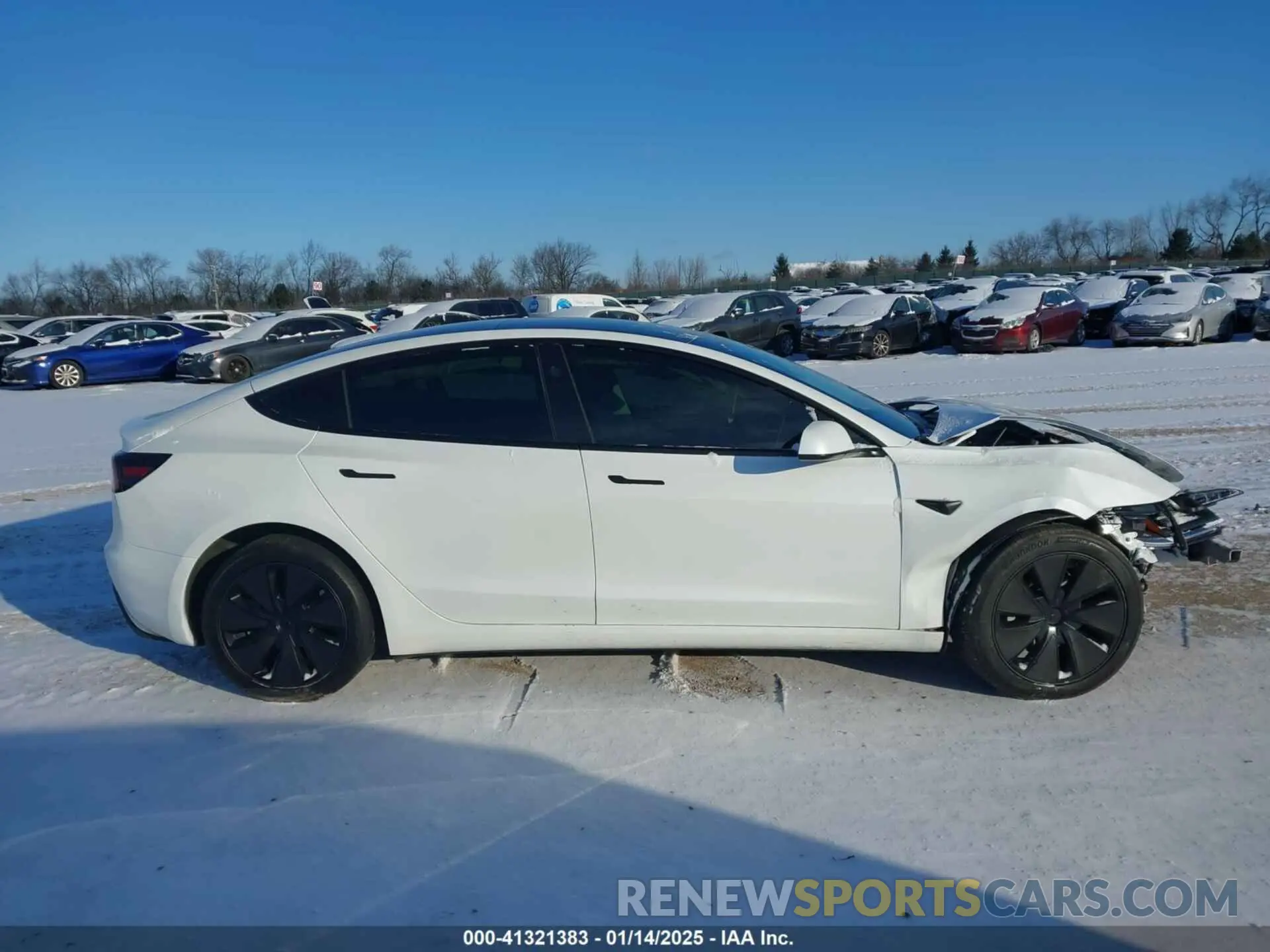 12 fotografías del automóvil dañado 5YJ3E1EB1RF755980 TESLA MODEL 3 2024