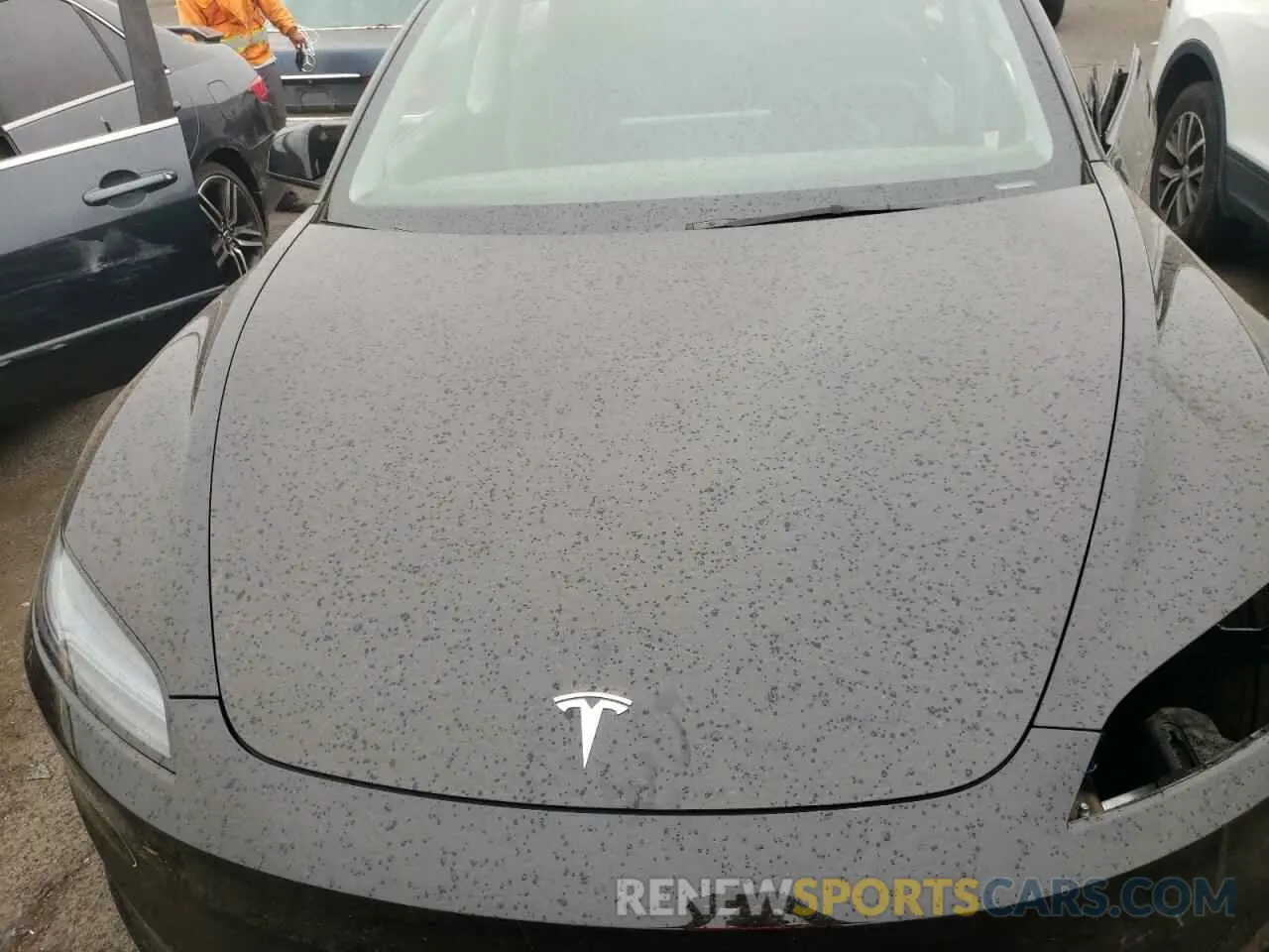 11 fotografías del automóvil dañado 5YJ3E1EB1RF761651 TESLA MODEL 3 2024