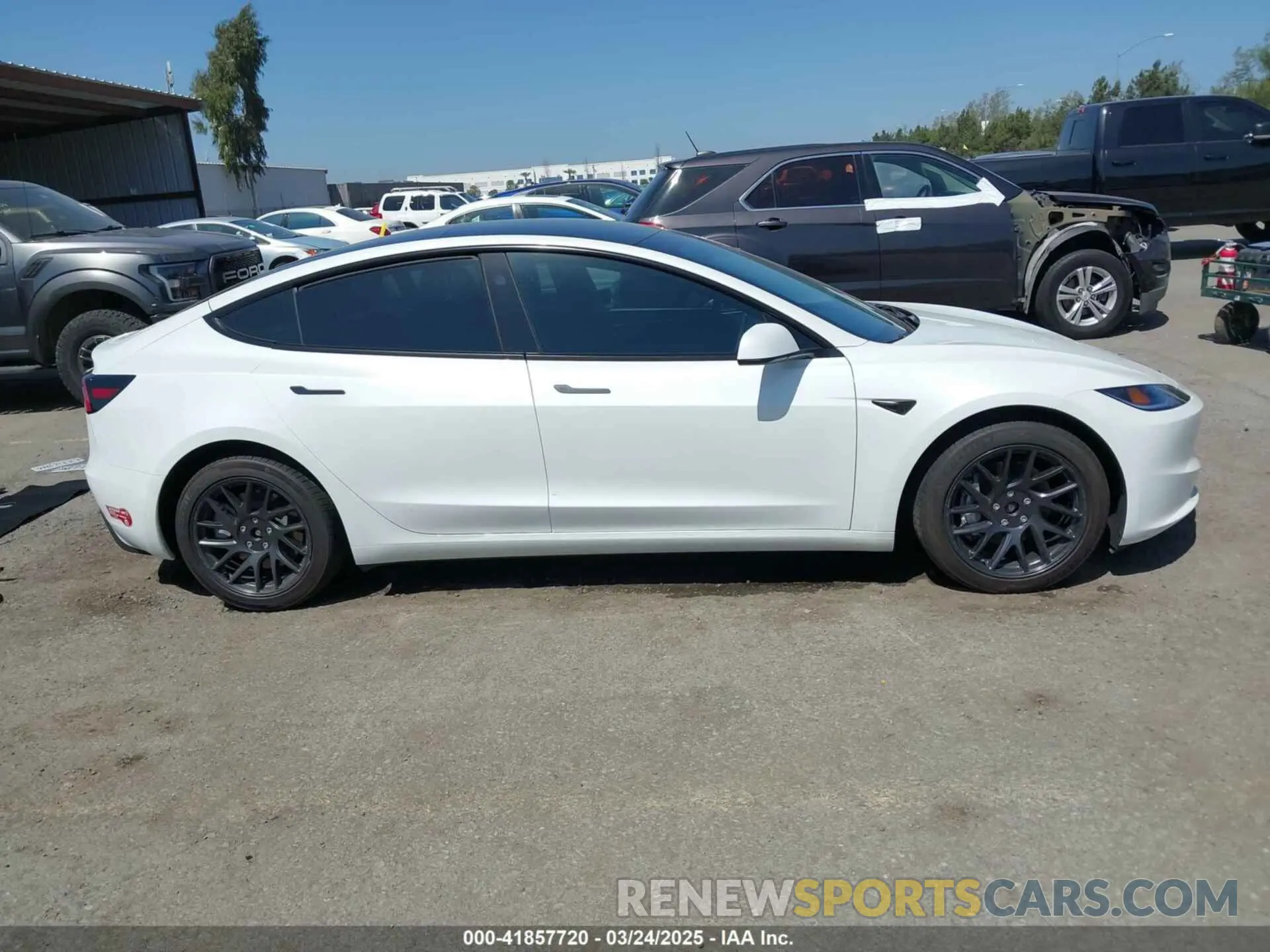 14 fotografías del automóvil dañado 5YJ3E1EB2RF773730 TESLA MODEL 3 2024