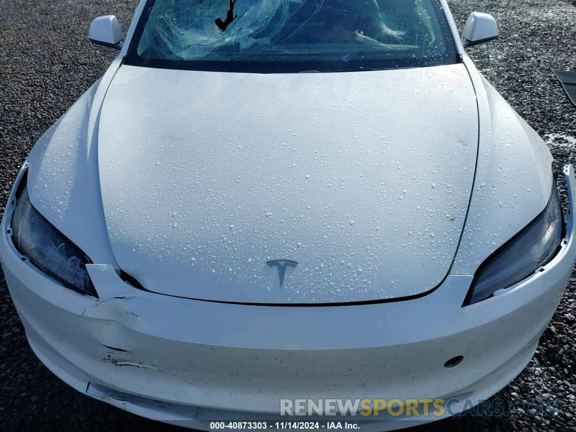 10 fotografías del automóvil dañado 5YJ3E1EB2RF799986 TESLA MODEL 3 2024