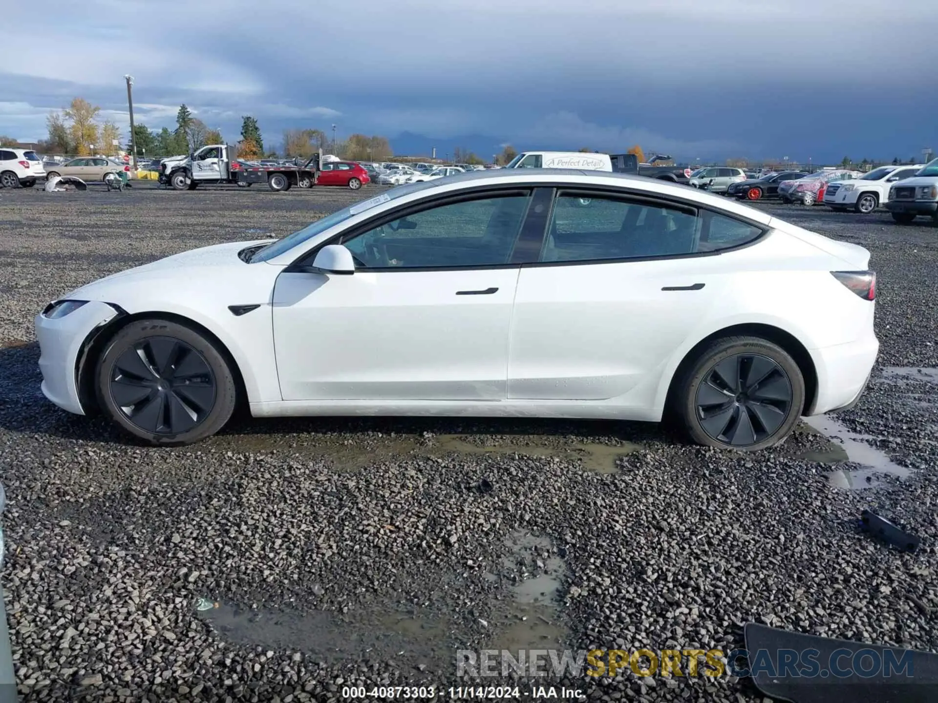 13 fotografías del automóvil dañado 5YJ3E1EB2RF799986 TESLA MODEL 3 2024