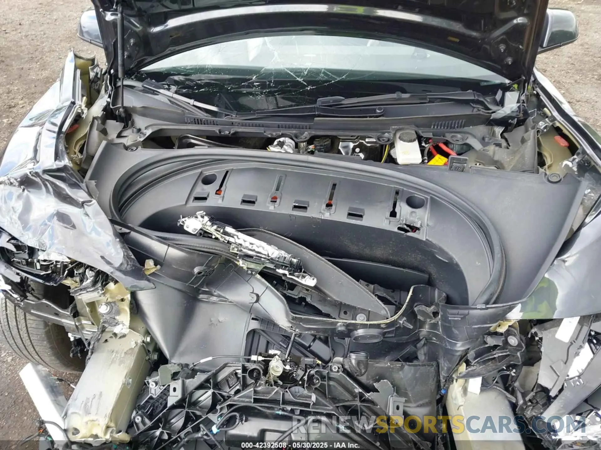10 fotografías del automóvil dañado 5YJ3E1EB3RF729817 TESLA MODEL 3 2024