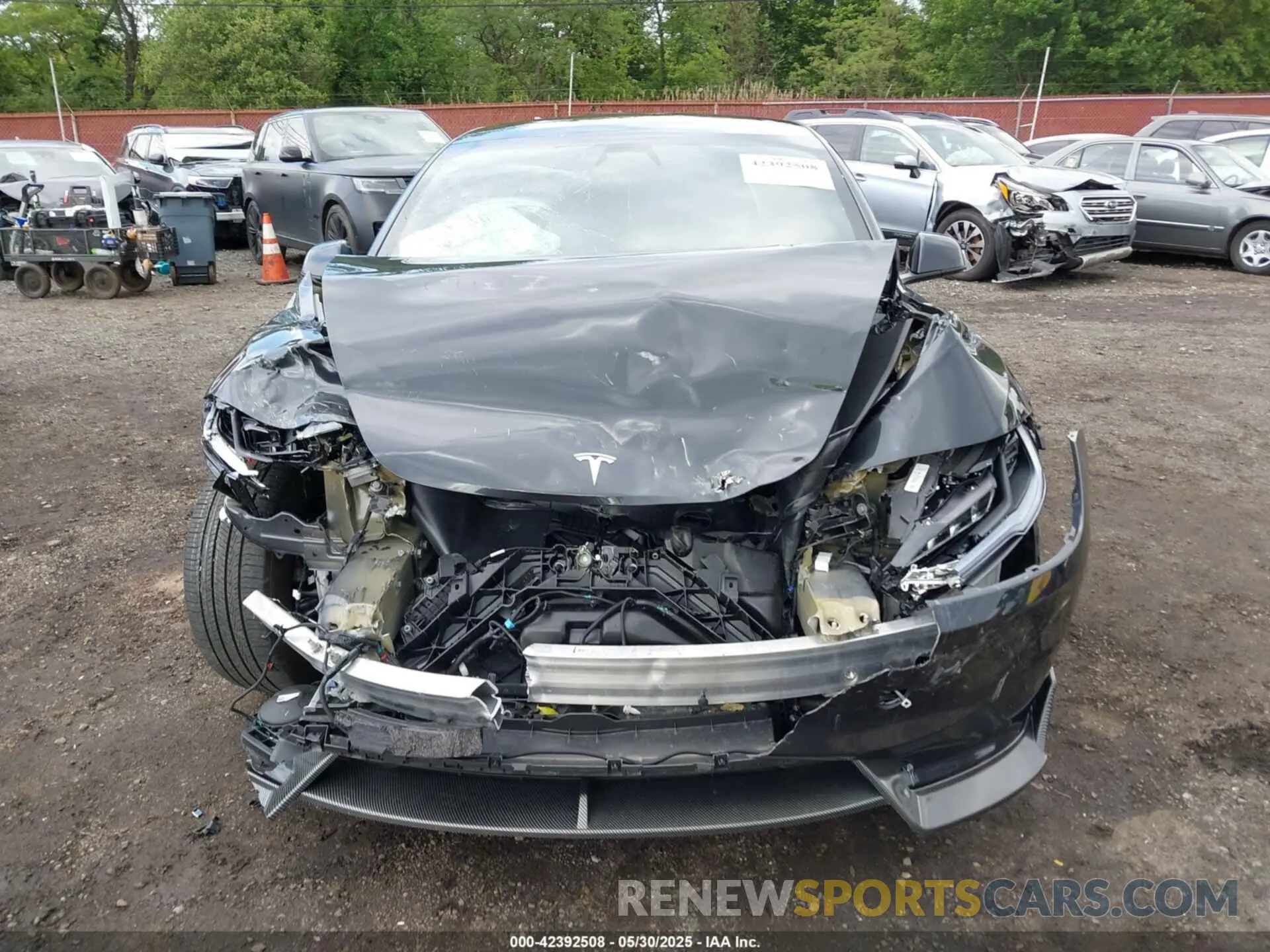 12 fotografías del automóvil dañado 5YJ3E1EB3RF729817 TESLA MODEL 3 2024