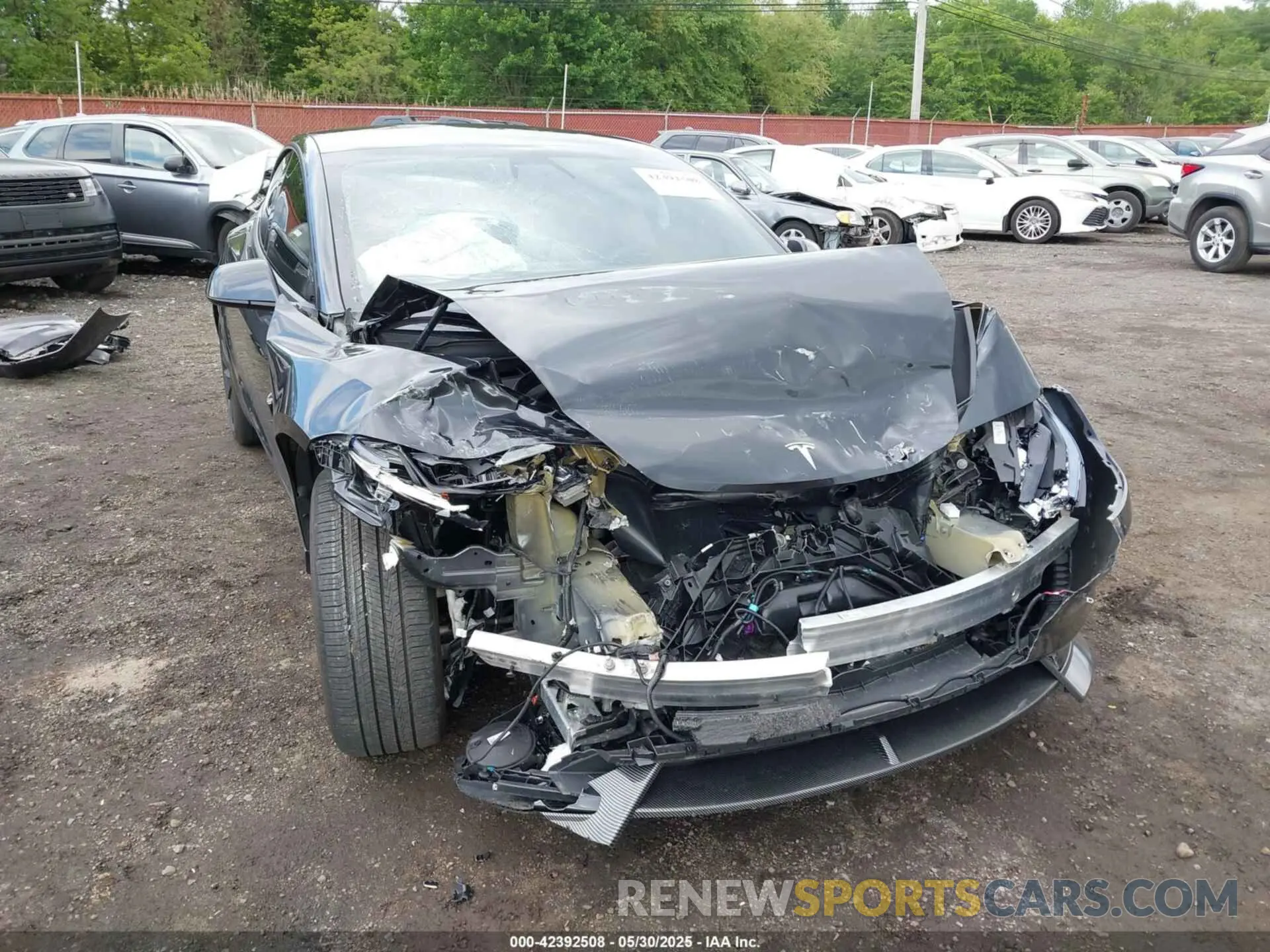 19 fotografías del automóvil dañado 5YJ3E1EB3RF729817 TESLA MODEL 3 2024