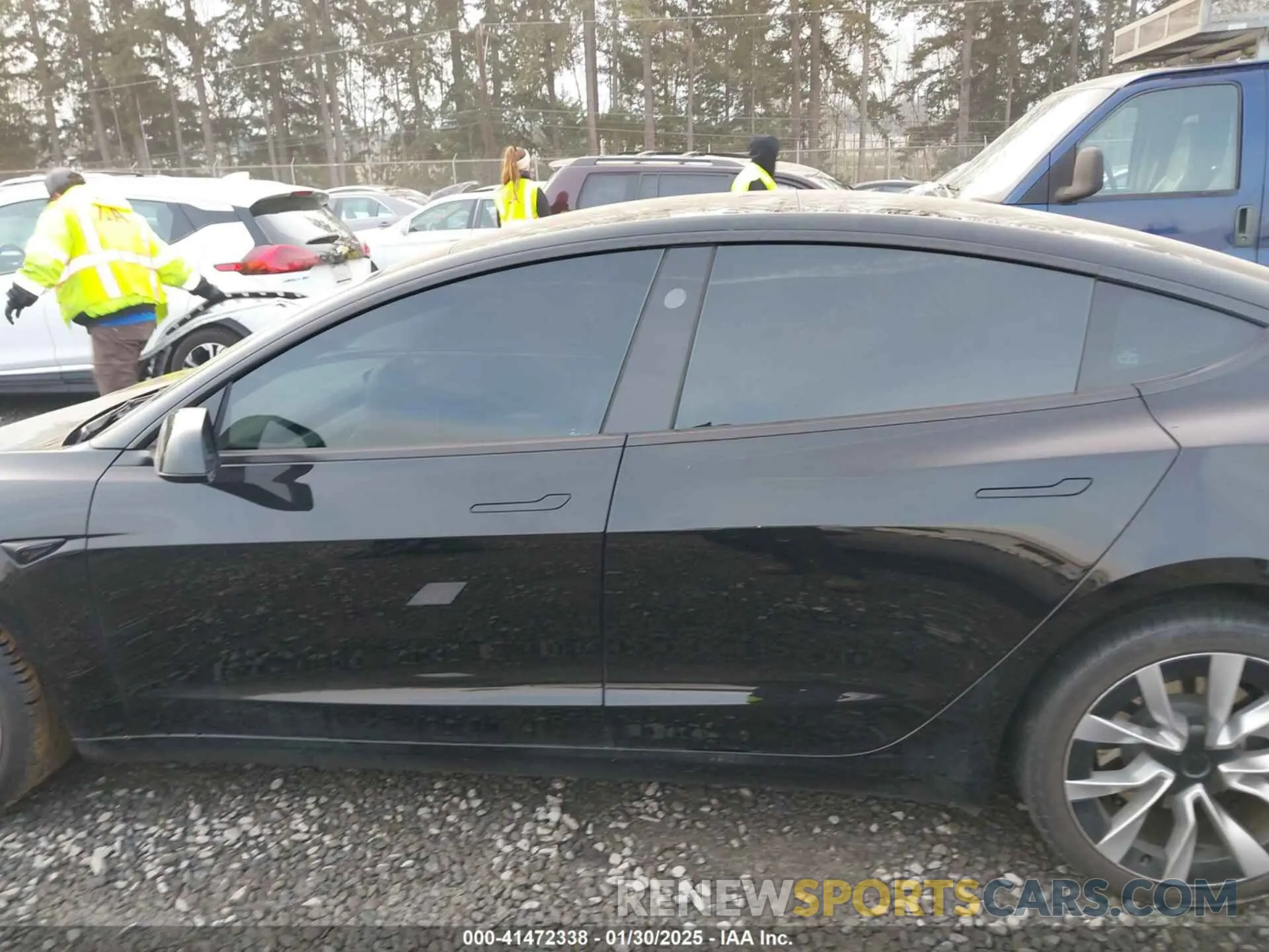 15 fotografías del automóvil dañado 5YJ3E1EB3RF793632 TESLA MODEL 3 2024