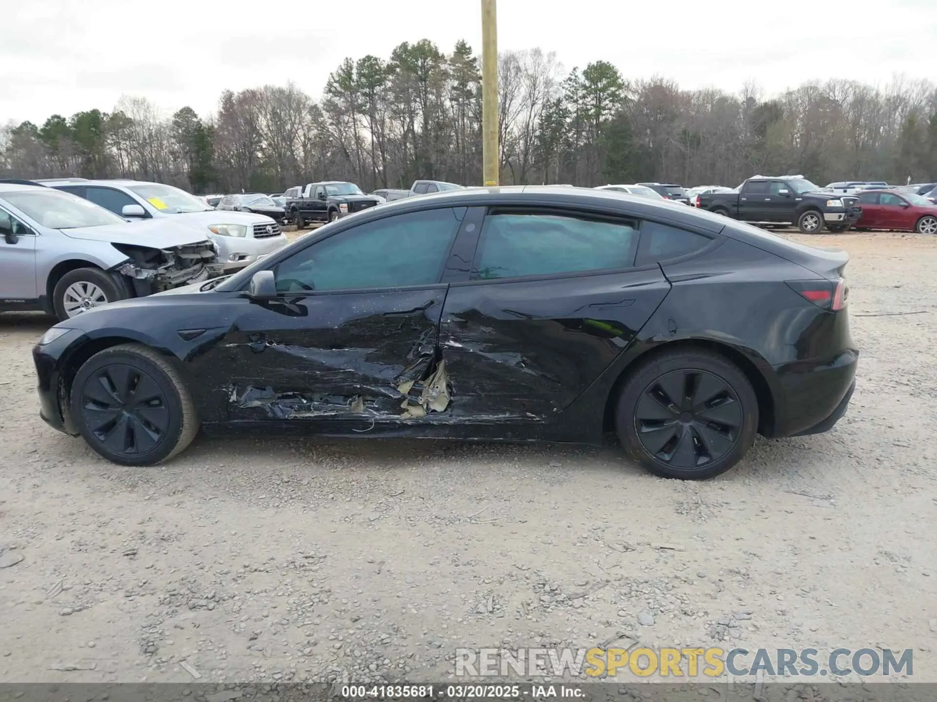 13 fotografías del automóvil dañado 5YJ3E1EB3RF807688 TESLA MODEL 3 2024