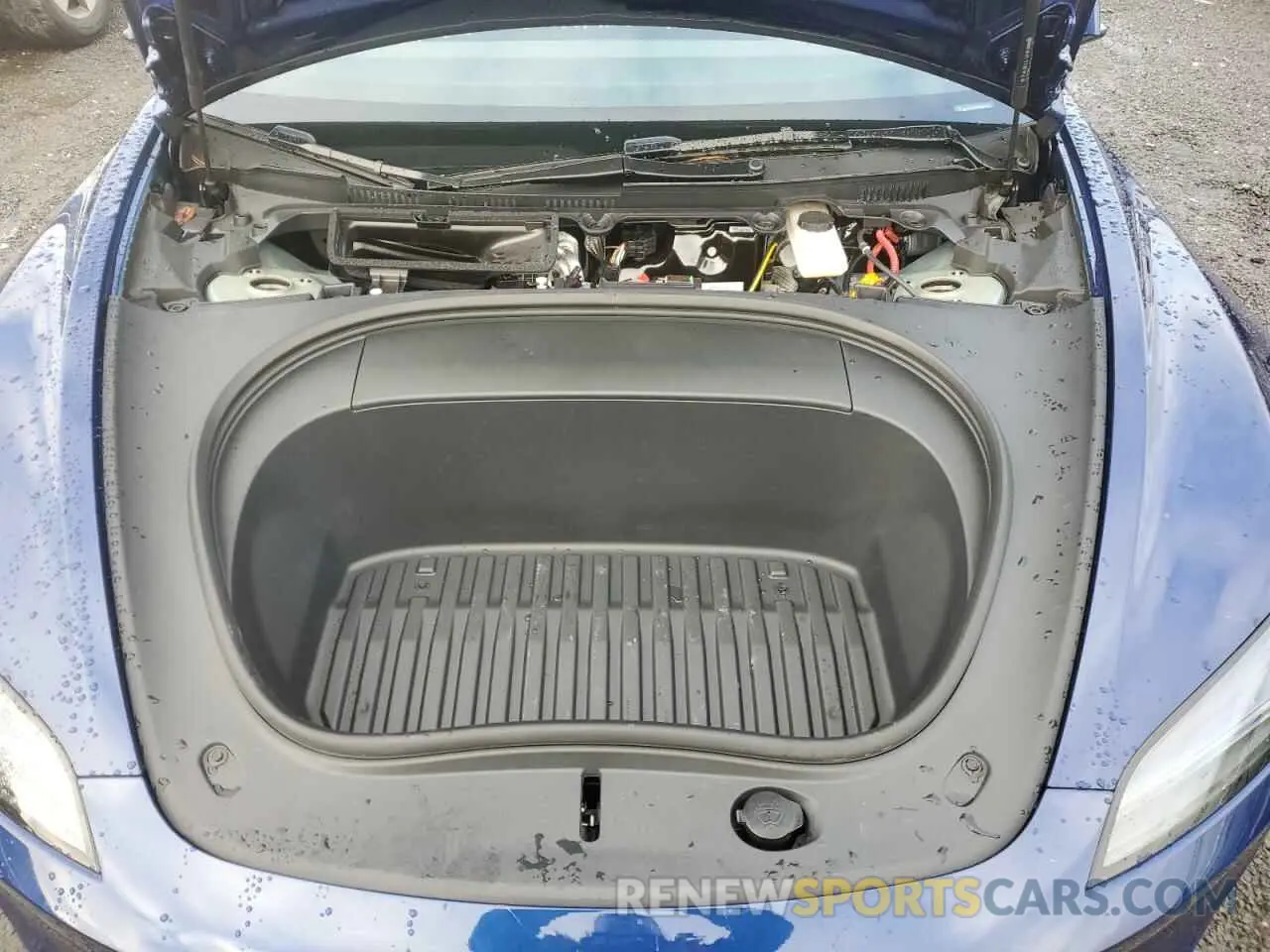 11 fotografías del automóvil dañado 5YJ3E1EB3RF817170 TESLA MODEL 3 2024