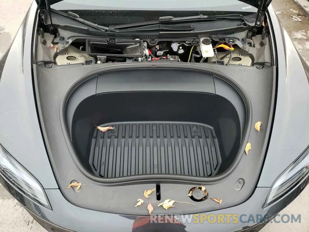 11 fotografías del automóvil dañado 5YJ3E1EB4RF735979 TESLA MODEL 3 2024