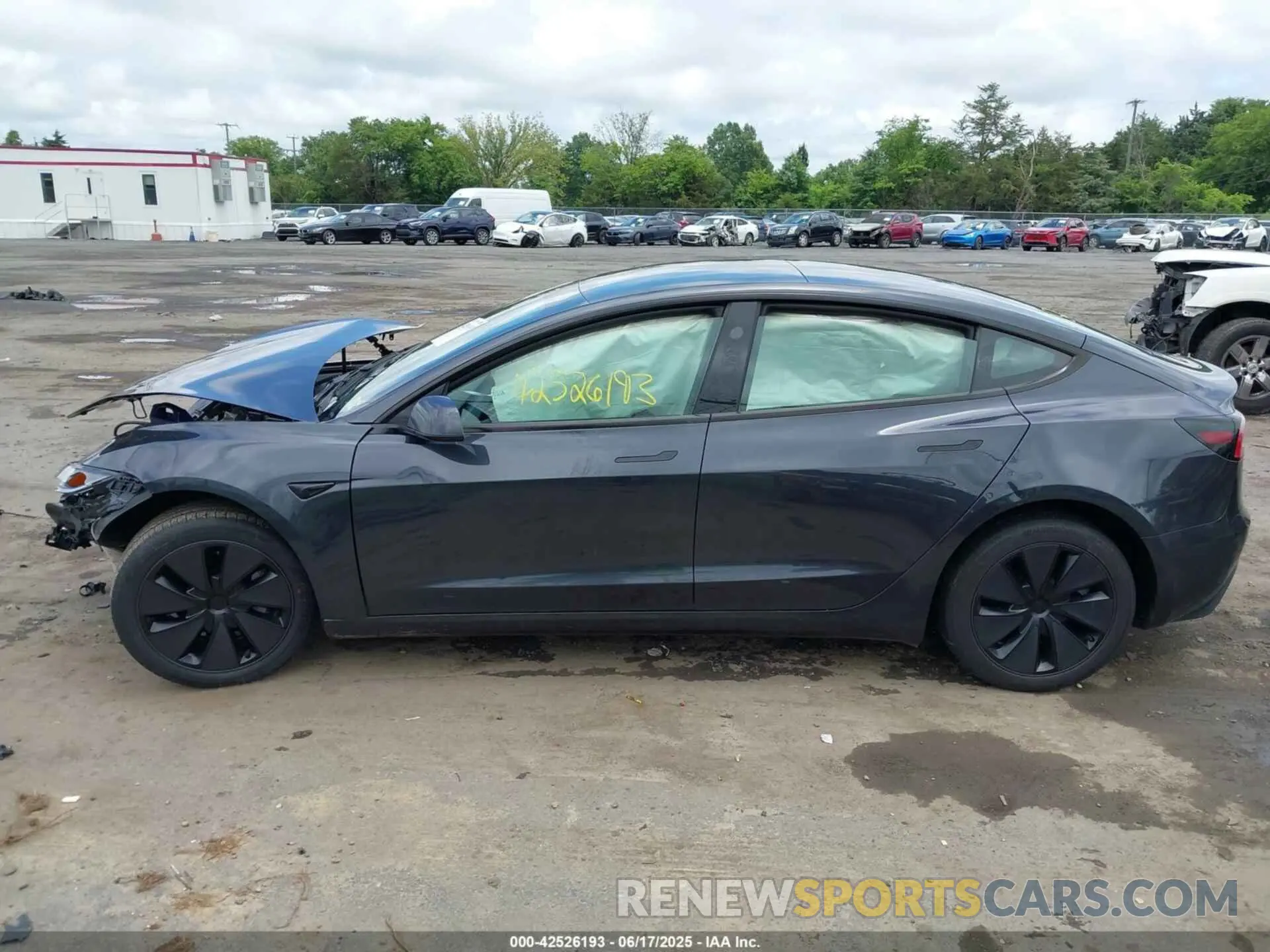 13 fotografías del automóvil dañado 5YJ3E1EB6RF816935 TESLA MODEL 3 2024