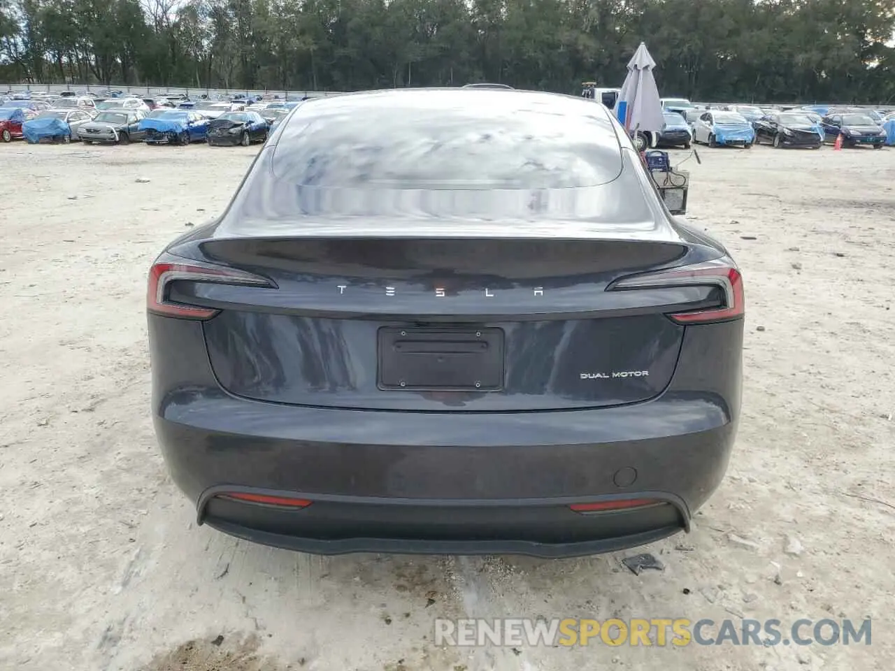 6 fotografías del automóvil dañado 5YJ3E1EB6RF824100 TESLA MODEL 3 2024