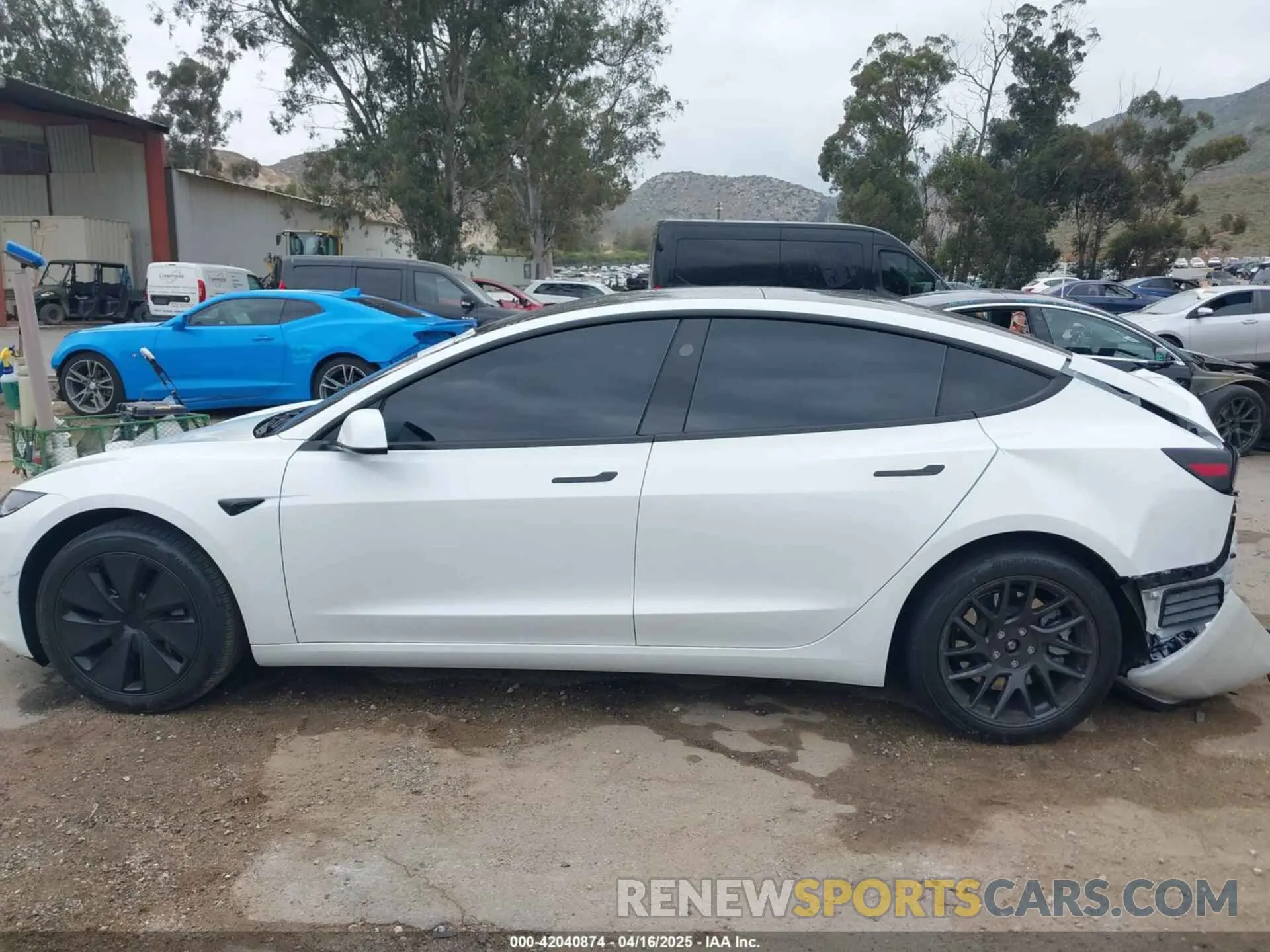 13 fotografías del automóvil dañado 5YJ3E1EB6RF842807 TESLA MODEL 3 2024