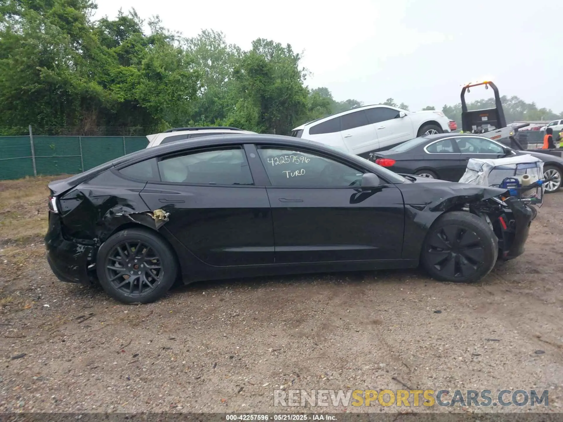 12 fotografías del automóvil dañado 5YJ3E1EB7RF717234 TESLA MODEL 3 2024