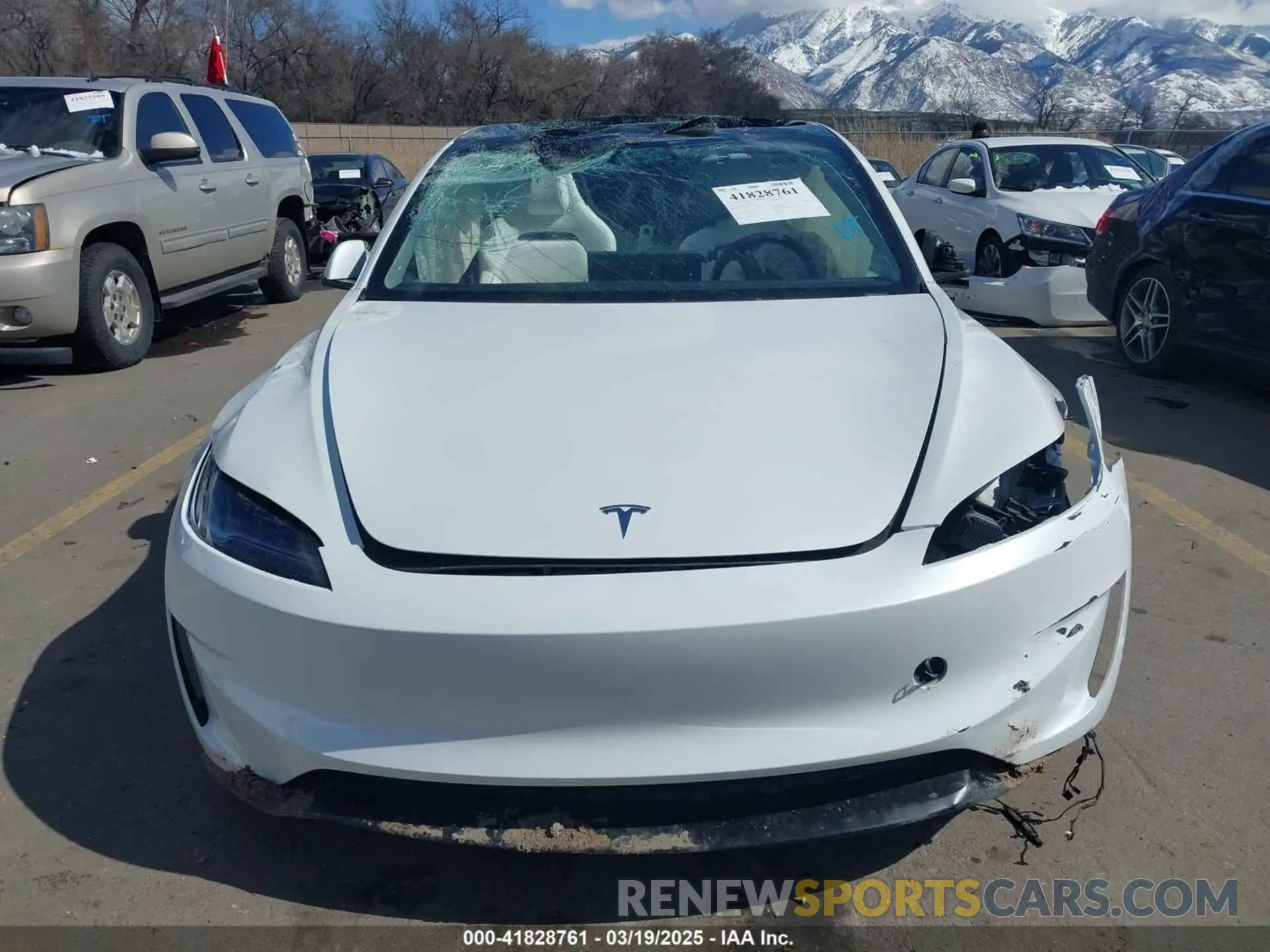 12 fotografías del automóvil dañado 5YJ3E1ET0RF793242 TESLA MODEL 3 2024