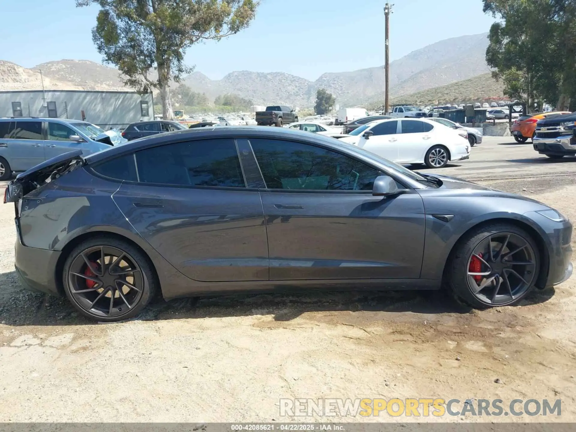 13 fotografías del automóvil dañado 5YJ3E1ET1RF867803 TESLA MODEL 3 2024