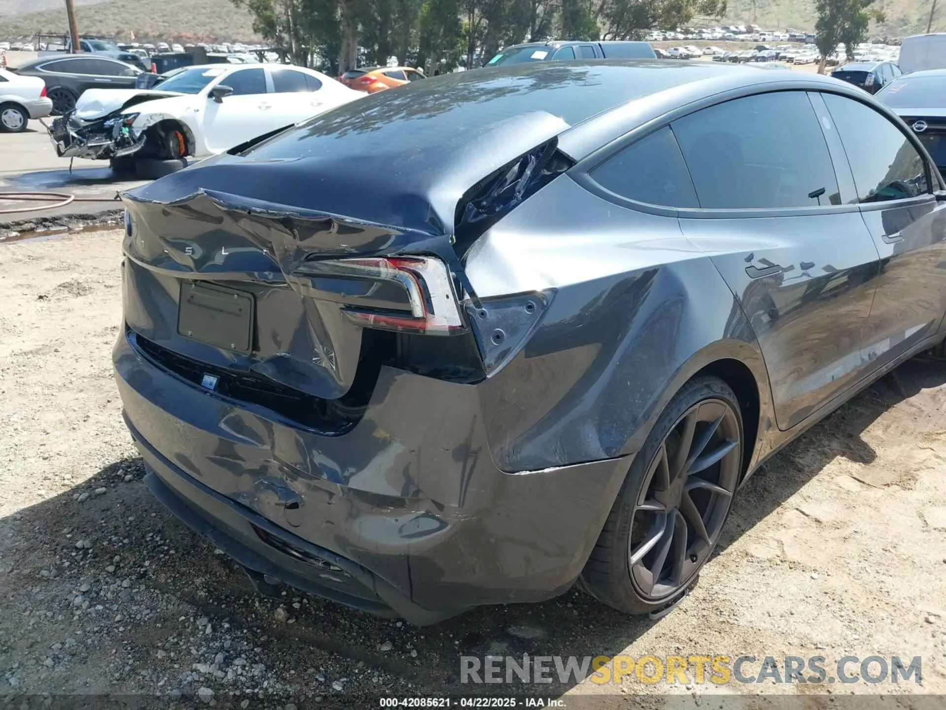 6 fotografías del automóvil dañado 5YJ3E1ET1RF867803 TESLA MODEL 3 2024