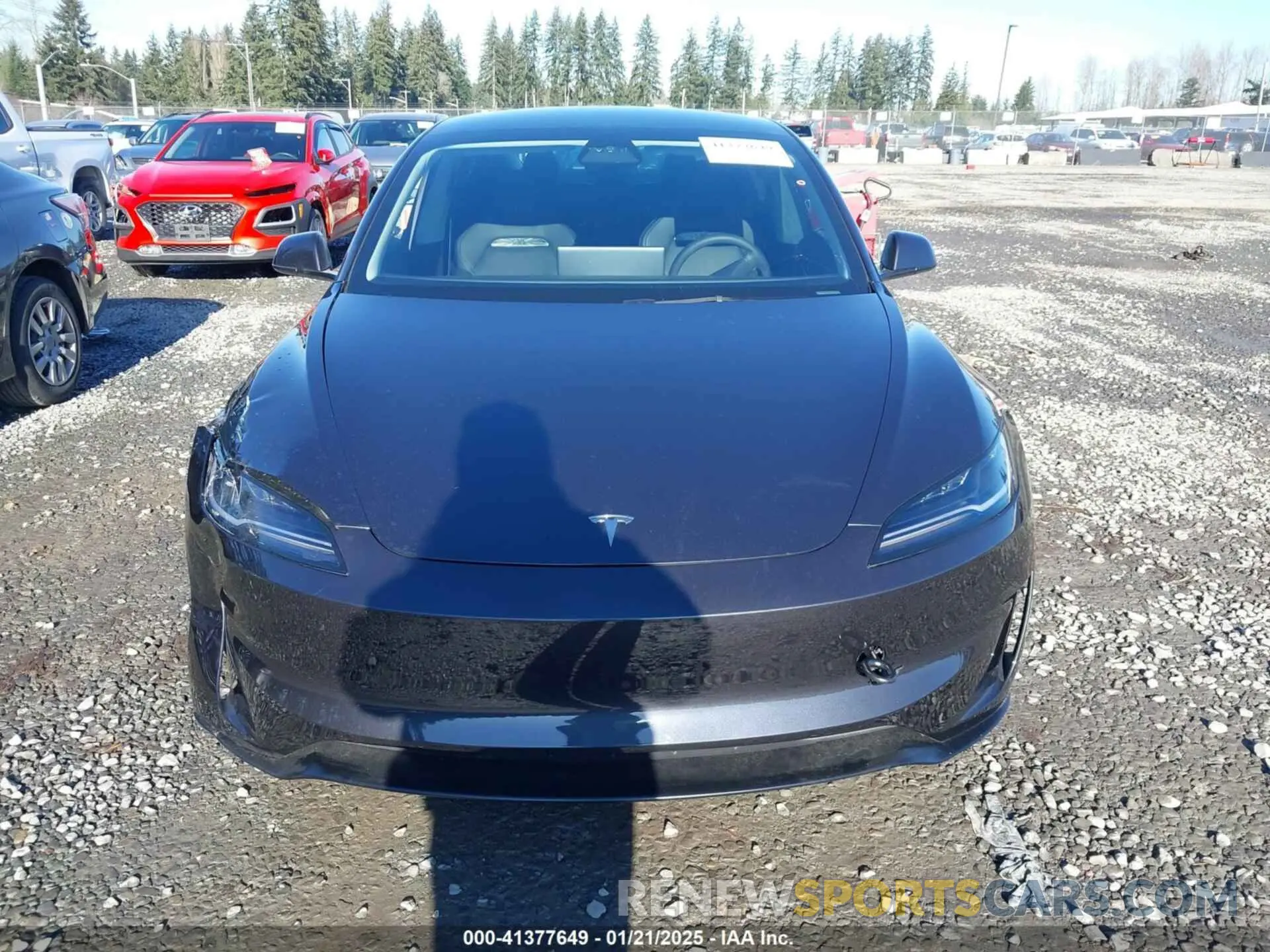 12 fotografías del automóvil dañado 5YJ3E1ET3RF845978 TESLA MODEL 3 2024