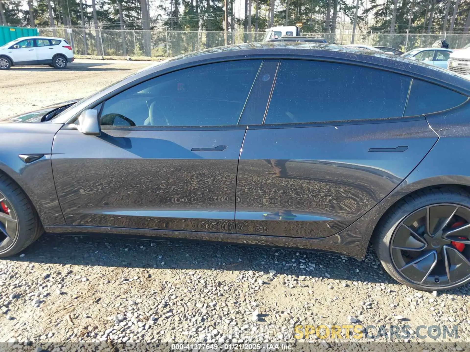 14 fotografías del automóvil dañado 5YJ3E1ET3RF845978 TESLA MODEL 3 2024