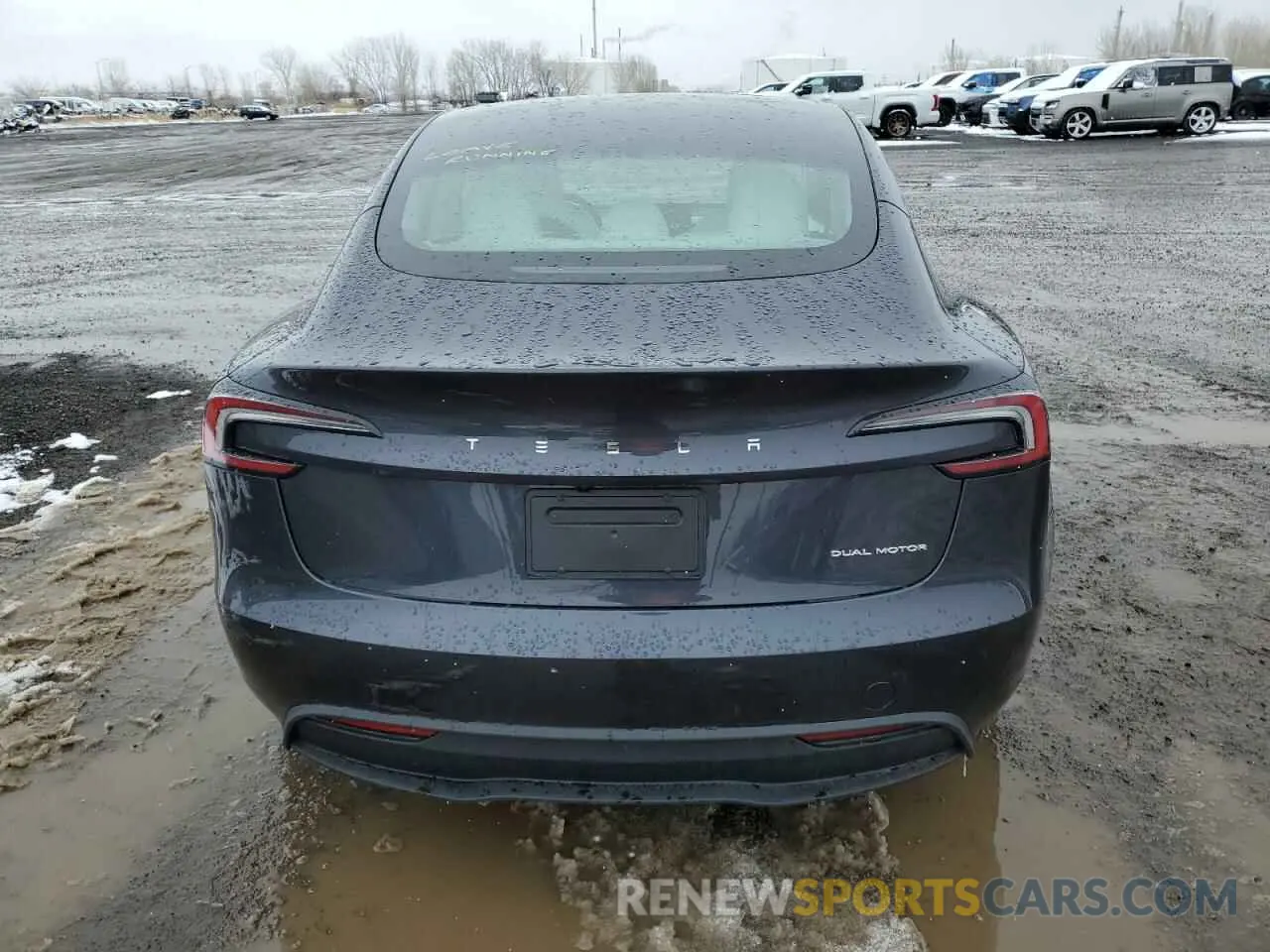 6 fotografías del automóvil dañado LRW3E7EBXRC135559 TESLA MODEL 3 2024