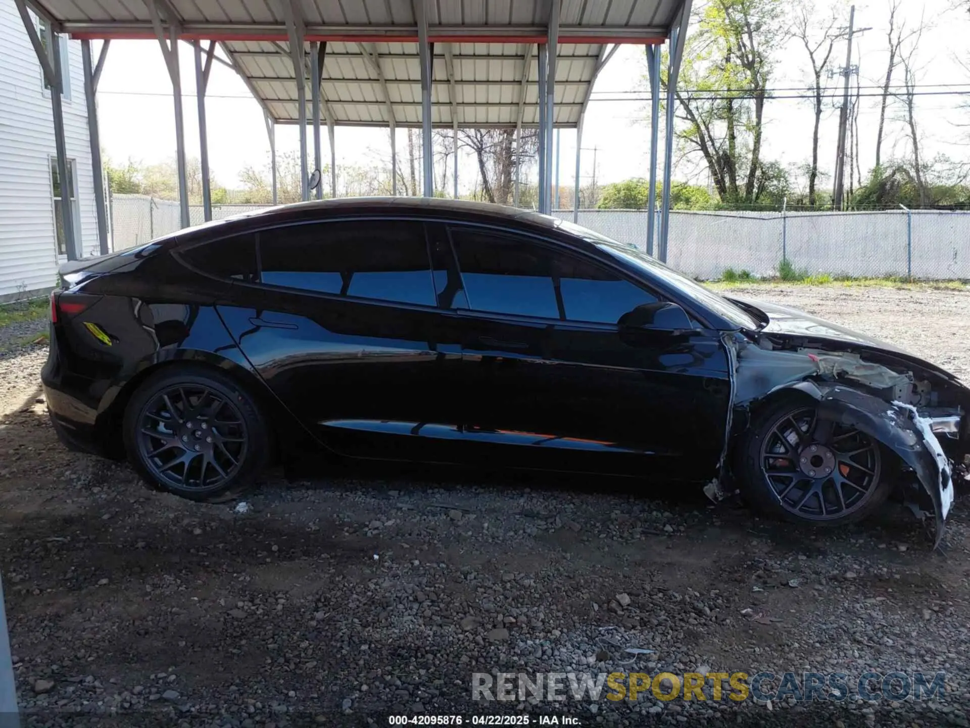 12 fotografías del automóvil dañado 5YJ3E1EA1SF974354 TESLA MODEL 3 2025