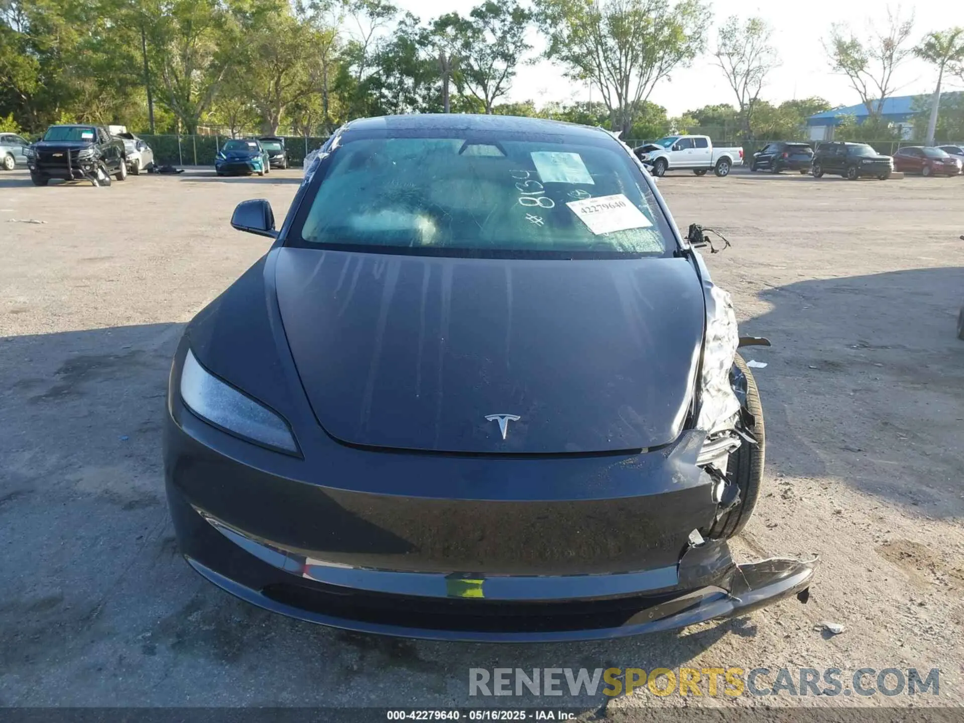 12 fotografías del automóvil dañado 5YJ3E1EA6SF888134 TESLA MODEL 3 2025