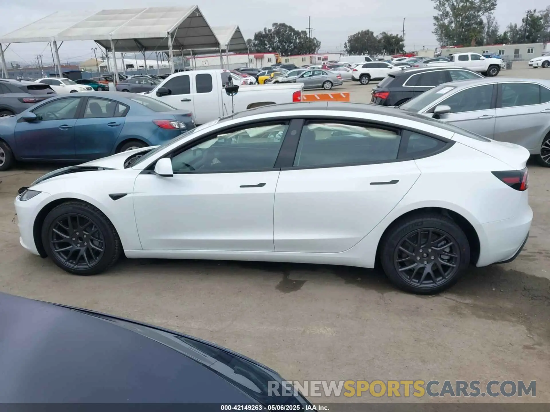 14 fotografías del automóvil dañado 5YJ3E1EA6SF988976 TESLA MODEL 3 2025