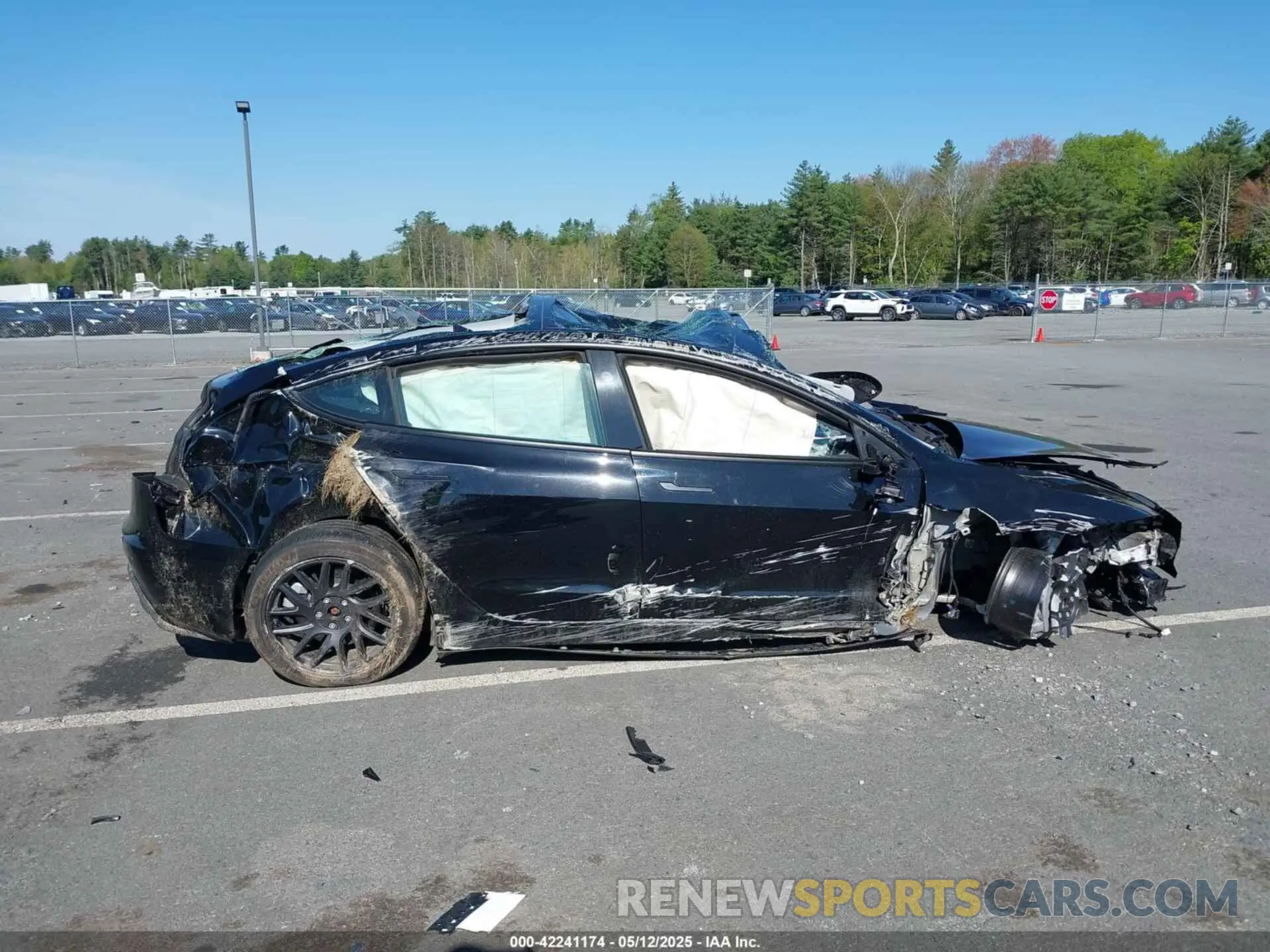 12 fotografías del automóvil dañado 5YJ3E1EAXSF927128 TESLA MODEL 3 2025