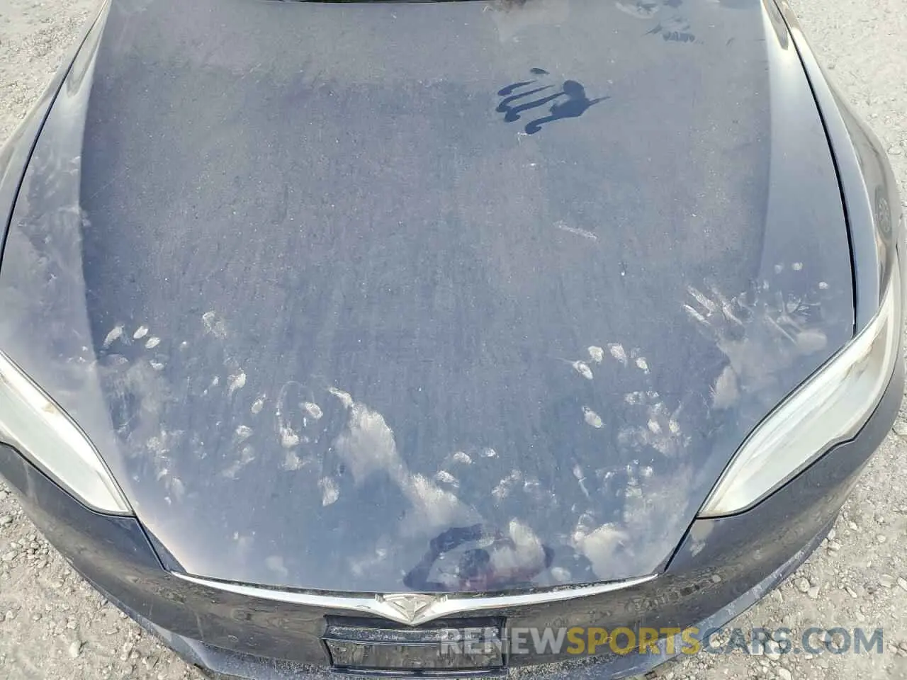 11 fotografías del automóvil dañado 5YJSA1E24KF330153 TESLA MODEL S 2019