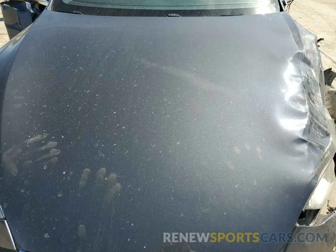 12 fotografías del automóvil dañado 5YJSA1E28KF295746 TESLA MODEL S 2019