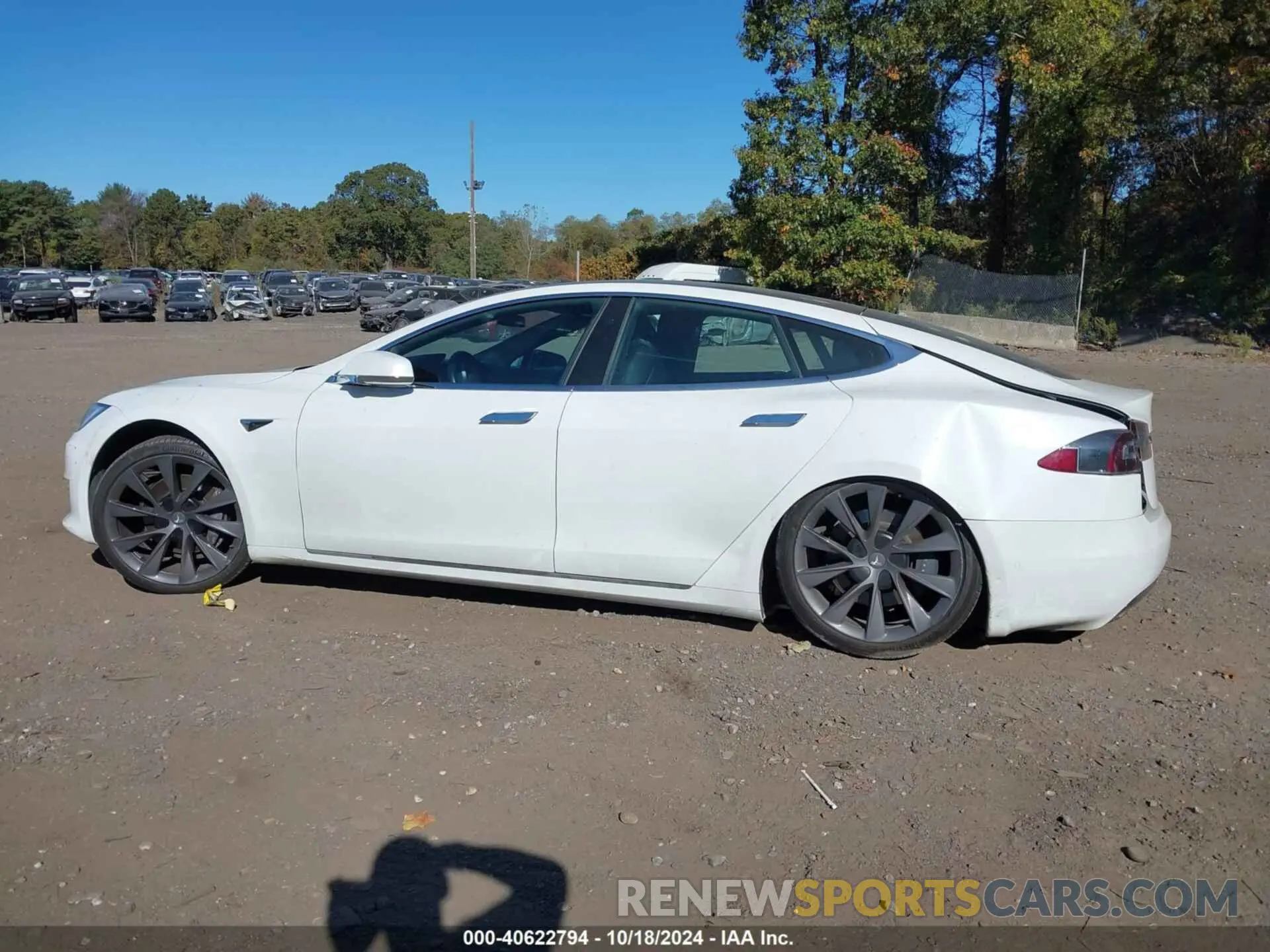 14 fotografías del automóvil dañado 5YJSA1E21LF411791 TESLA MODEL S 2020