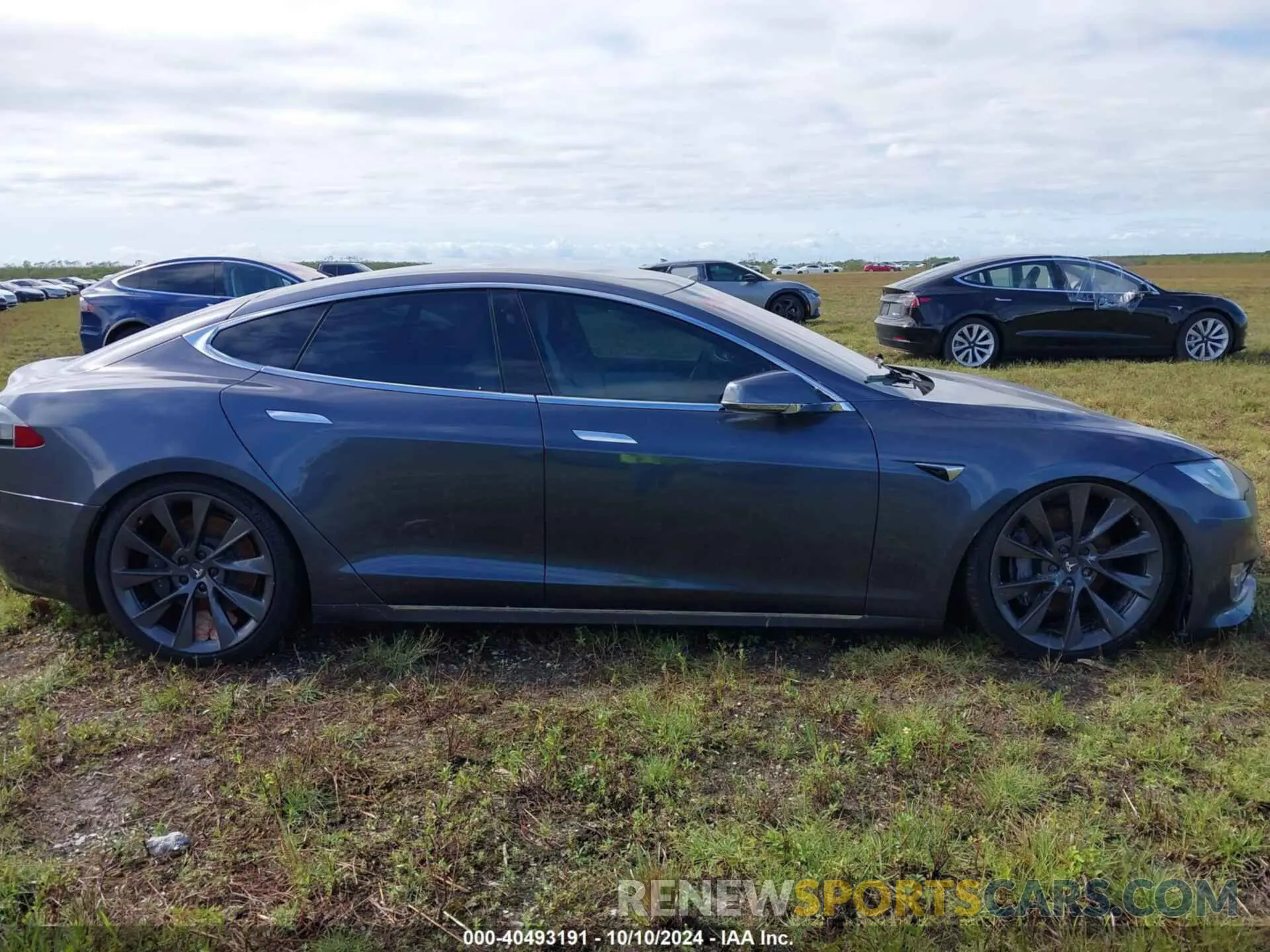 12 fotografías del automóvil dañado 5YJSA1E2XMF419180 TESLA MODEL S 2021