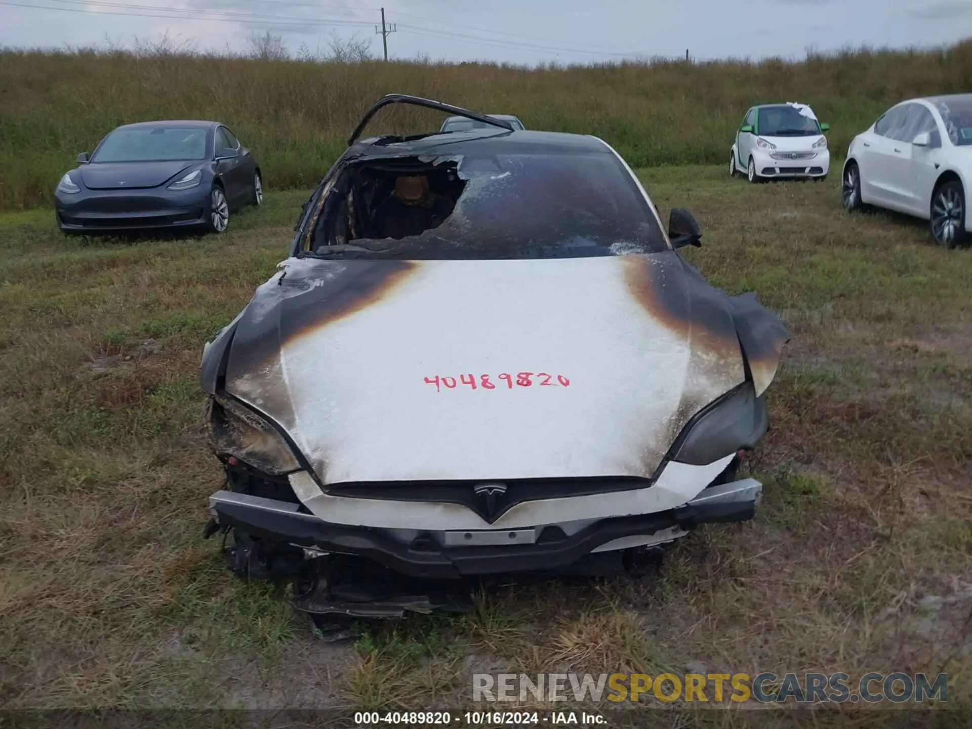 11 fotografías del automóvil dañado 5YJSA1E50MF455096 TESLA MODEL S 2021
