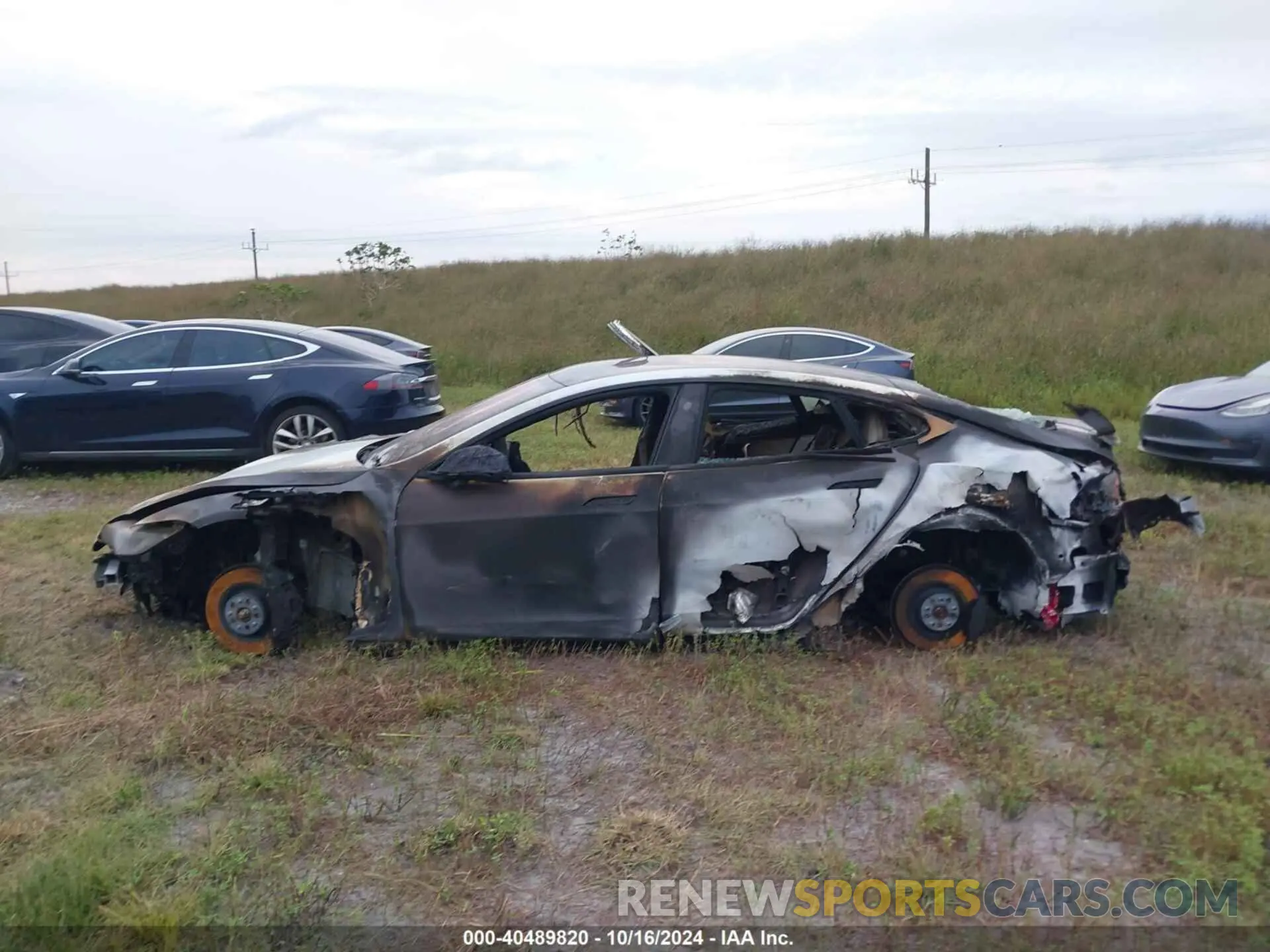 13 fotografías del automóvil dañado 5YJSA1E50MF455096 TESLA MODEL S 2021