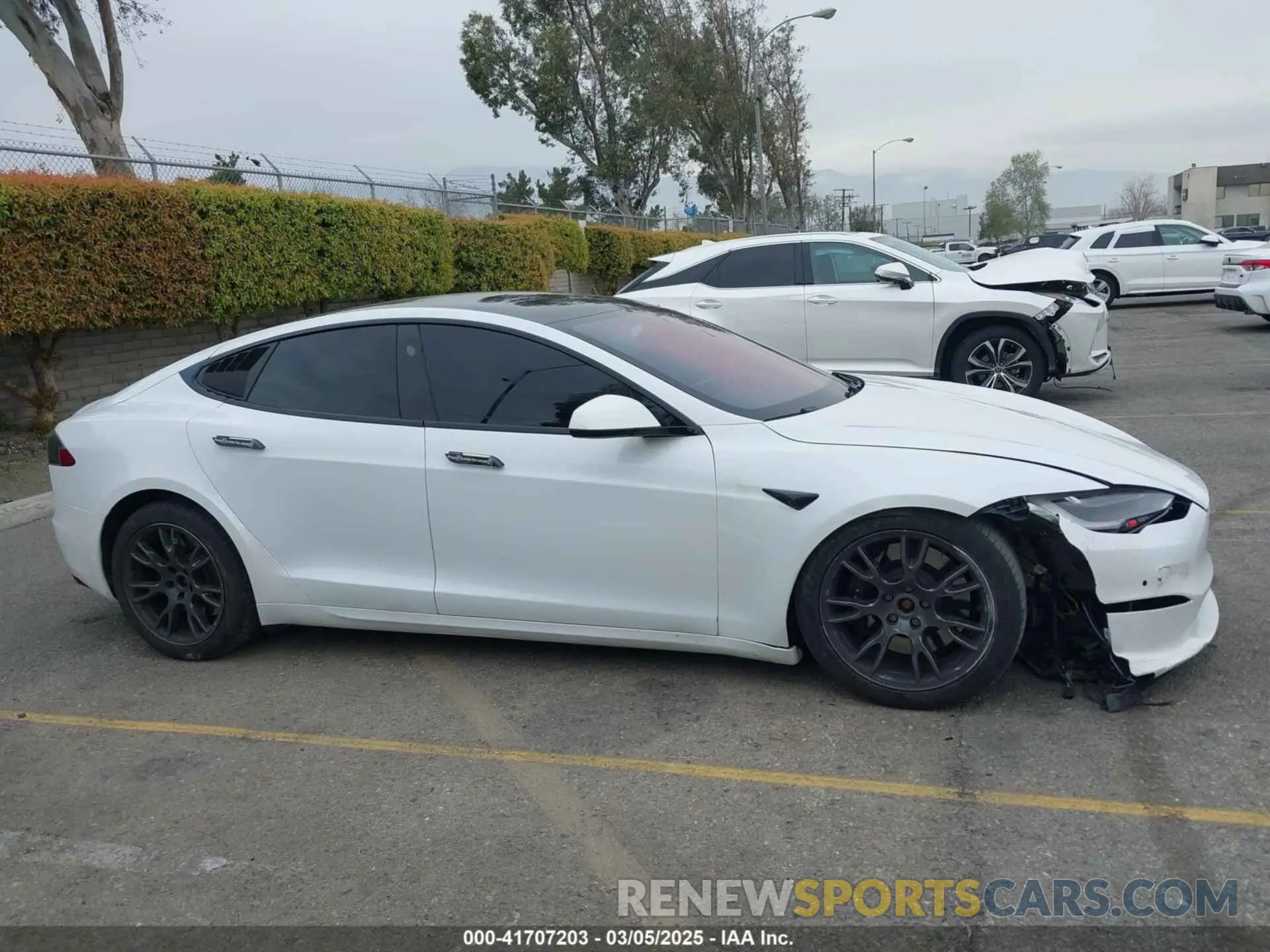 13 fotografías del automóvil dañado 5YJSA1E60MF453678 TESLA MODEL S 2021