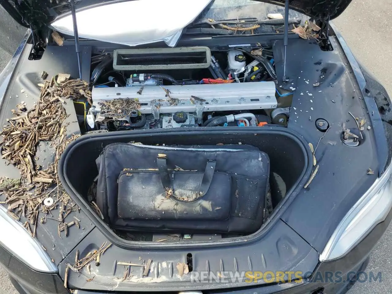 7 fotografías del automóvil dañado 5YJSA1E68MF451631 TESLA MODEL S 2021