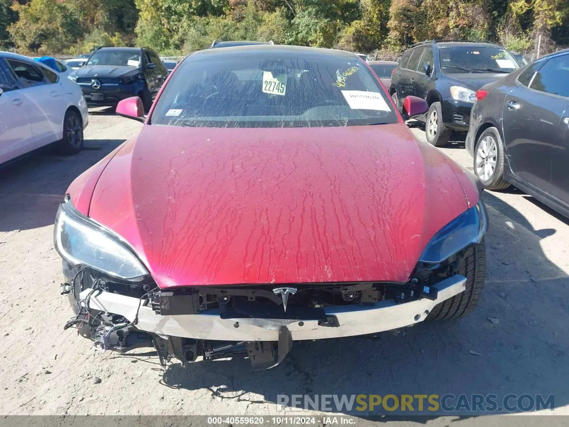 12 fotografías del automóvil dañado 5YJSA1E53PF523735 TESLA MODEL S 2023