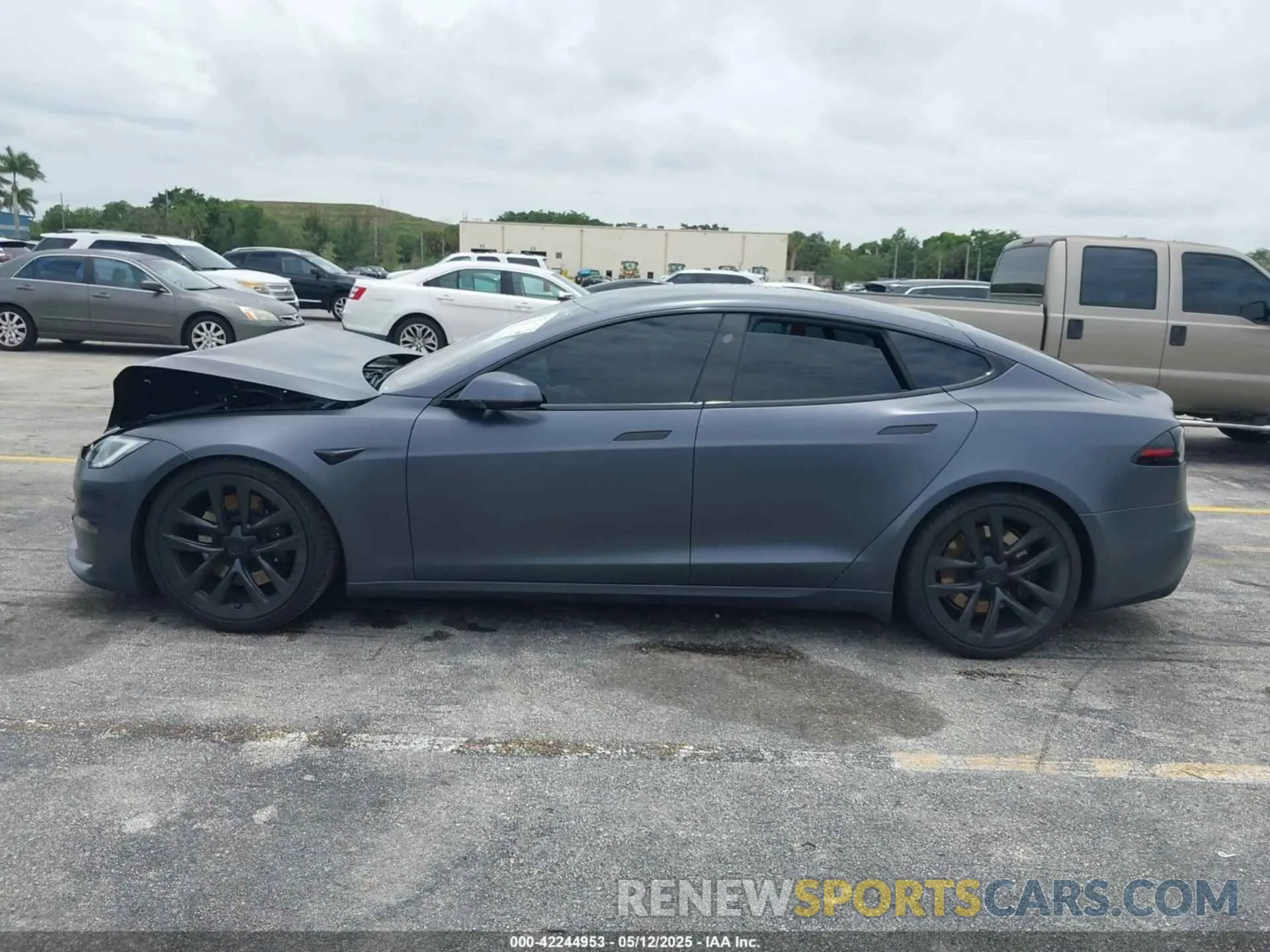13 fotografías del automóvil dañado 5YJSA1E54PF501565 TESLA MODEL S 2023