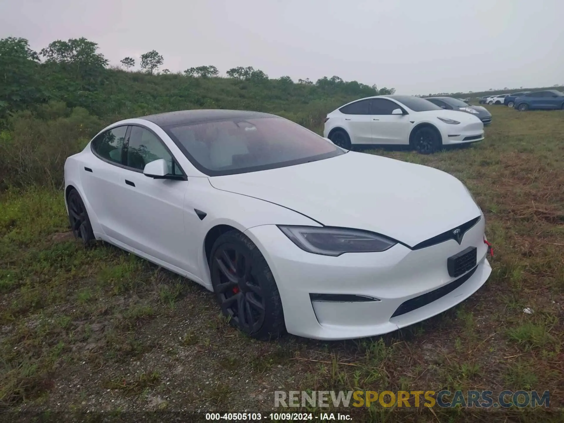 1 fotografías del automóvil dañado 5YJSA1E65PF528105 TESLA MODEL S 2023
