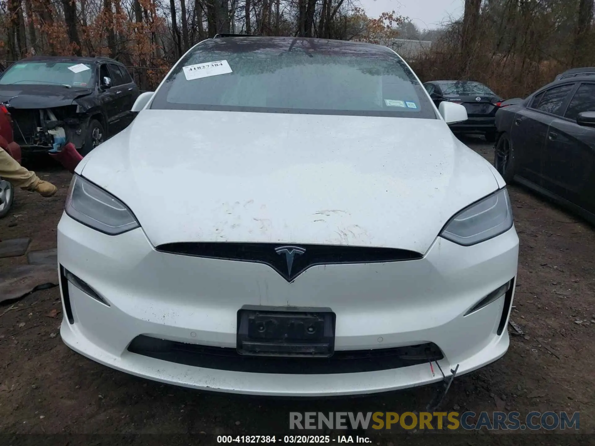 12 fotografías del automóvil dañado 7SAXCBE65NF341601 TESLA MODEL X 2022