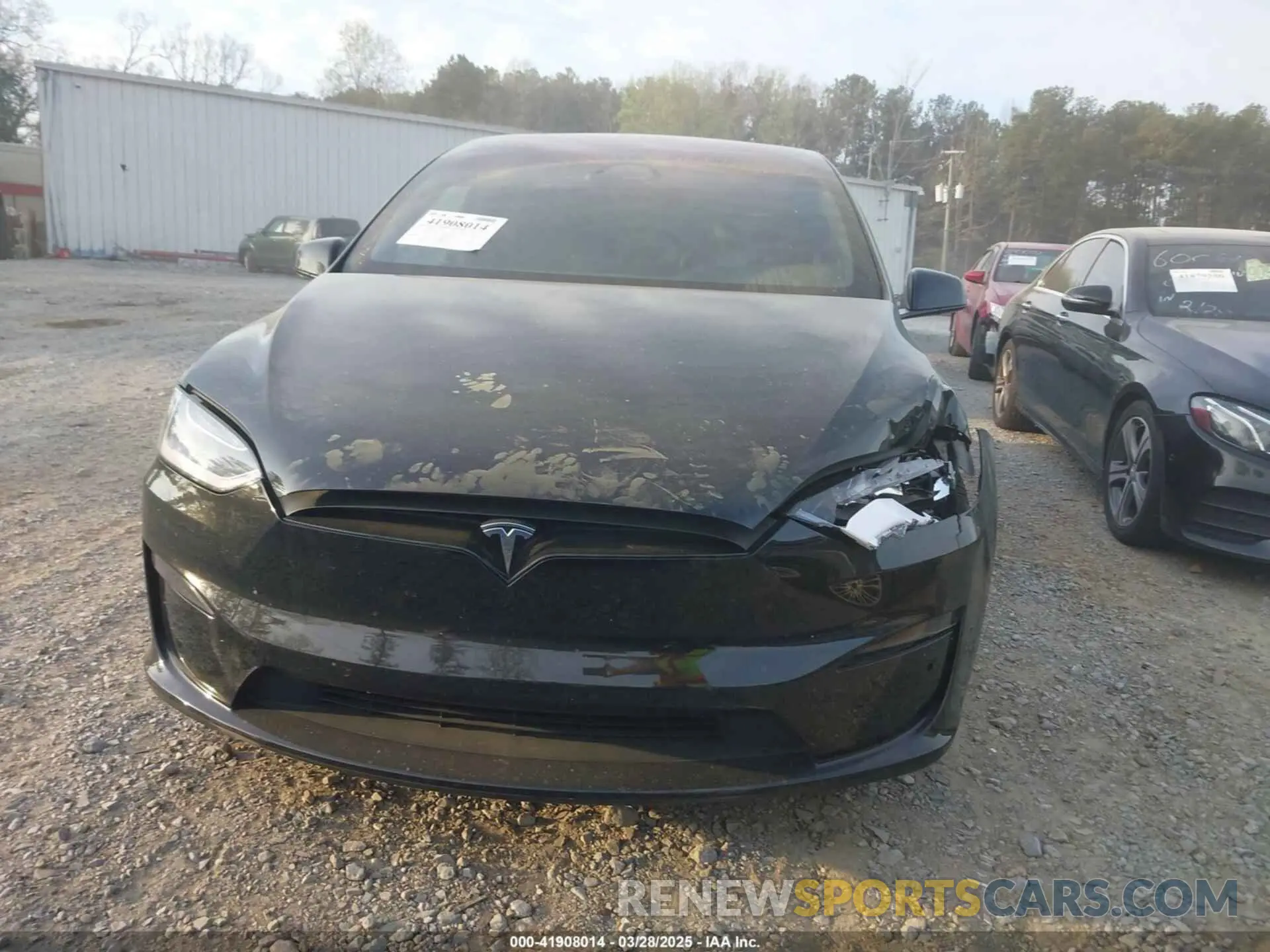 12 fotografías del automóvil dañado 7SAXCAE55PF376224 TESLA MODEL X 2023
