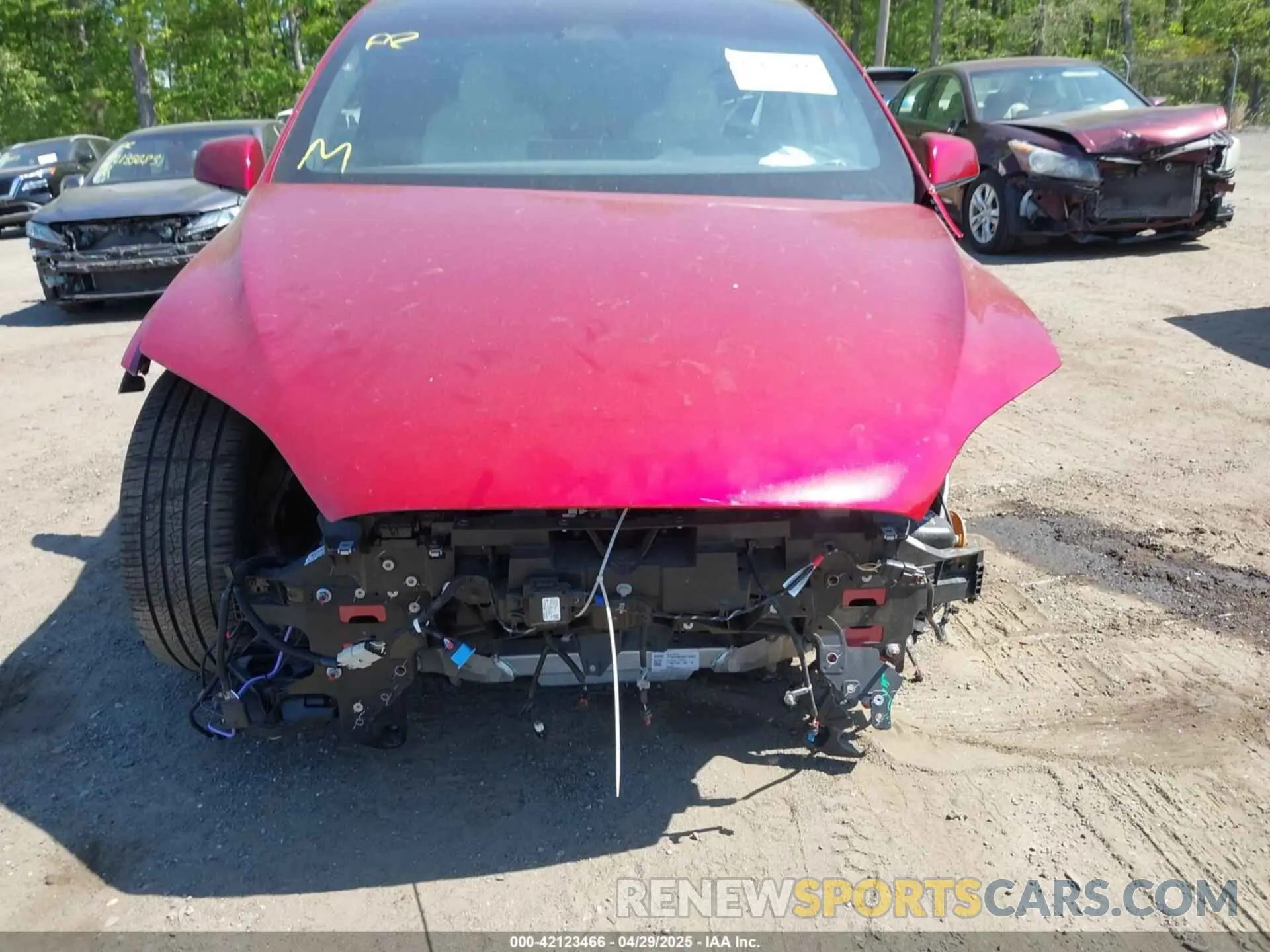 12 fotografías del automóvil dañado 7SAXCAE56RF460197 TESLA MODEL X 2024