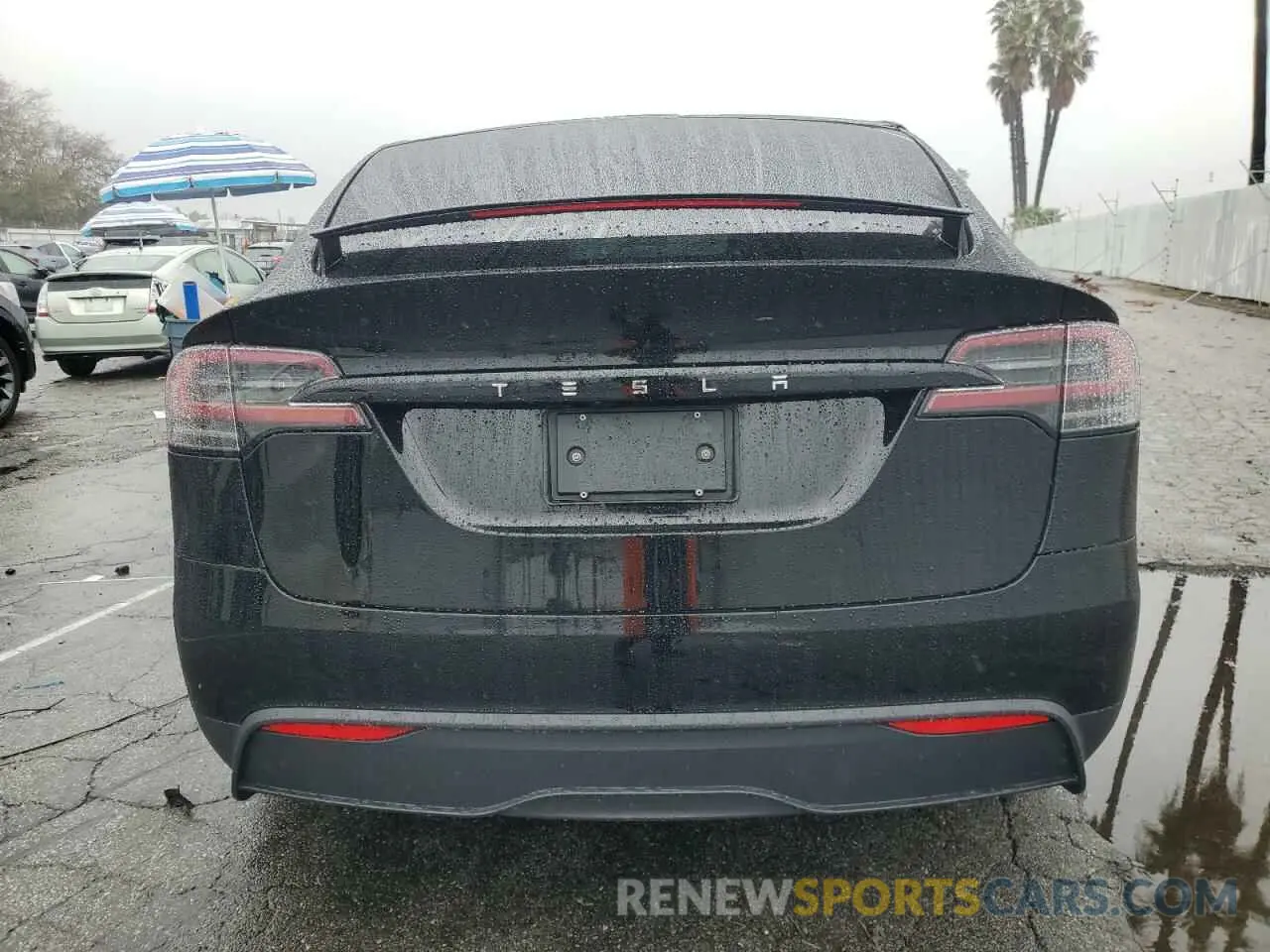 6 fotografías del automóvil dañado 7SAXCBE52RF442589 TESLA MODEL X 2024