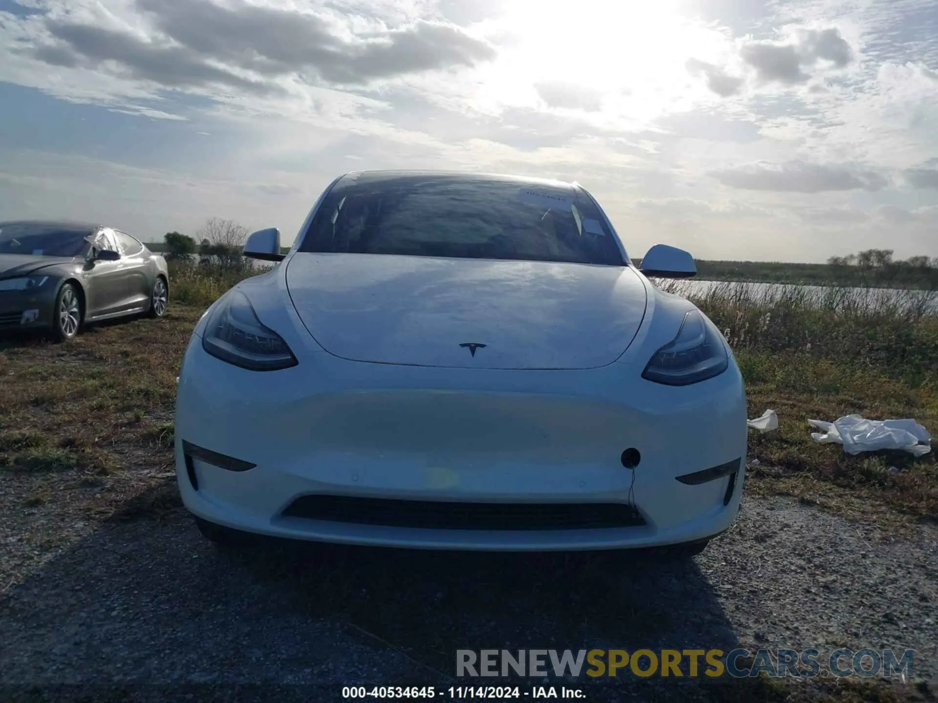 11 fotografías del automóvil dañado 5YJYGDEE3LF049208 TESLA MODEL Y 2020
