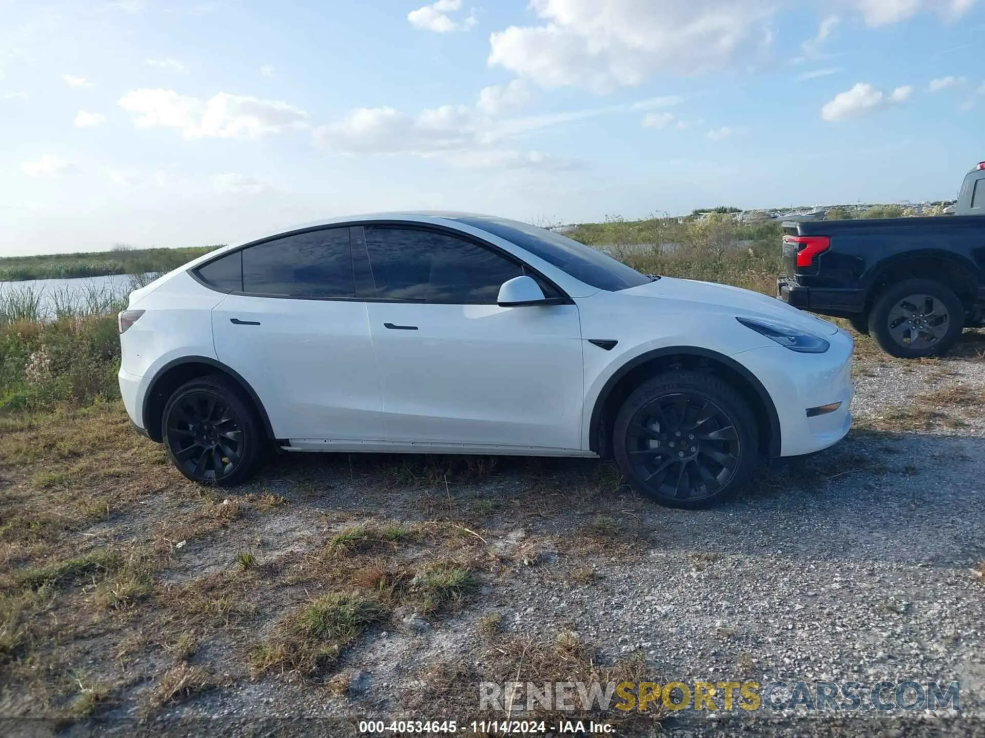 12 fotografías del automóvil dañado 5YJYGDEE3LF049208 TESLA MODEL Y 2020