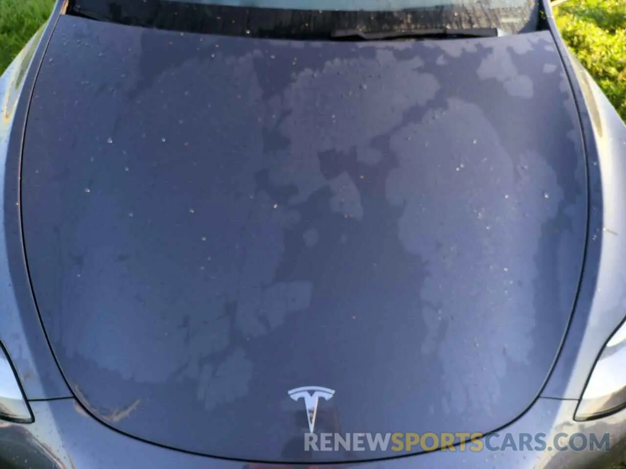 12 fotografías del automóvil dañado 5YJYGDEE5LF041577 TESLA MODEL Y 2020