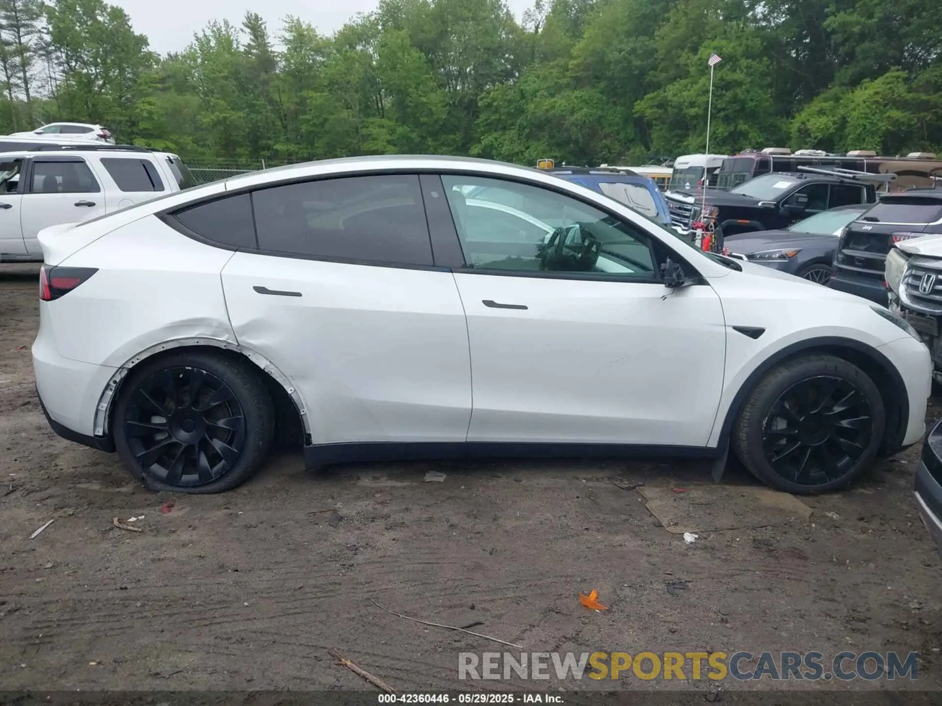 13 fotografías del automóvil dañado 5YJYGDEE7LF042987 TESLA MODEL Y 2020